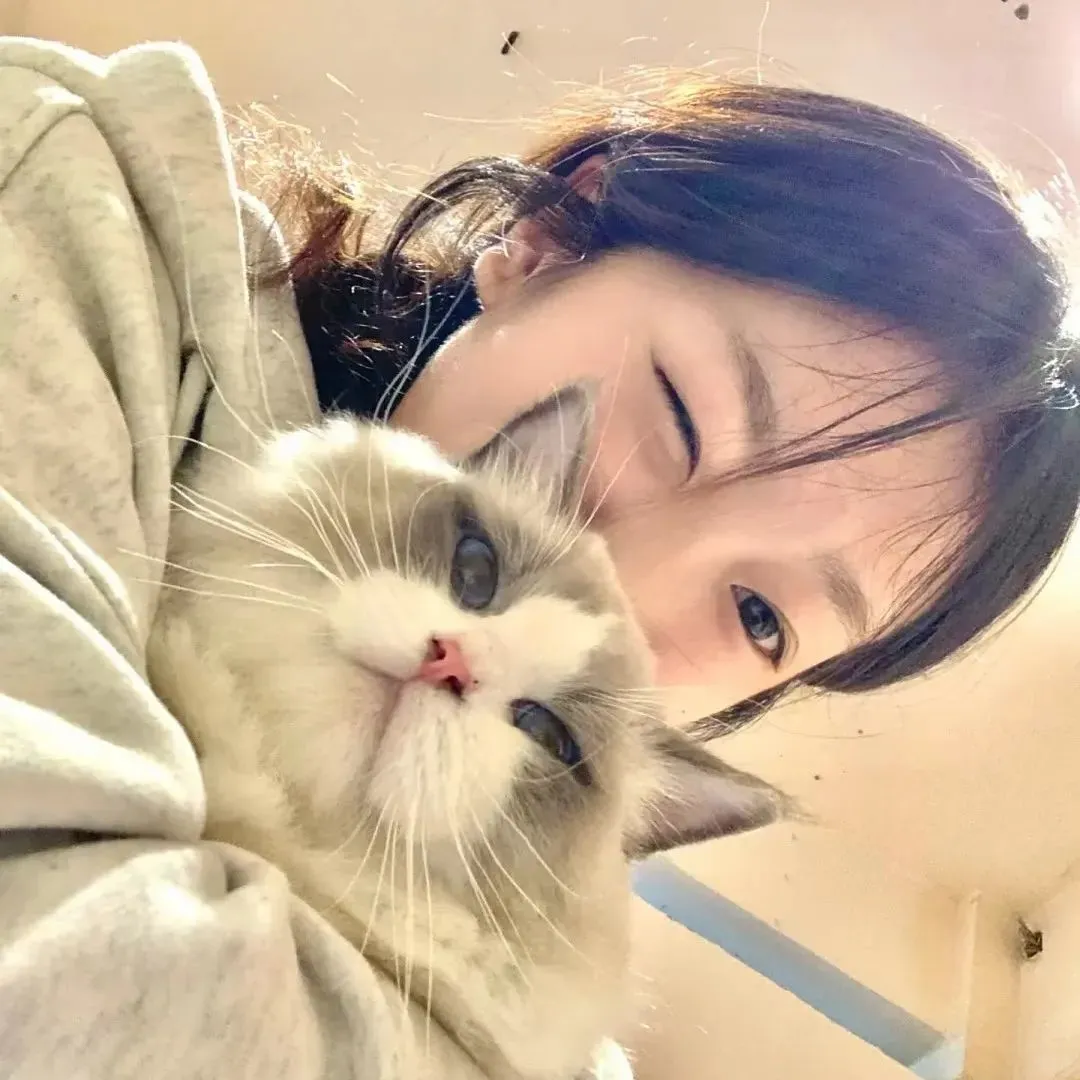 𝙒𝙚𝘾𝙝𝙖𝙩猫系甜妹头像