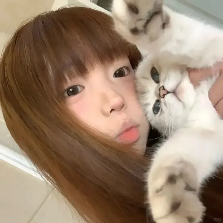 𝙒𝙚𝘾𝙝𝙖𝙩猫系甜妹头像