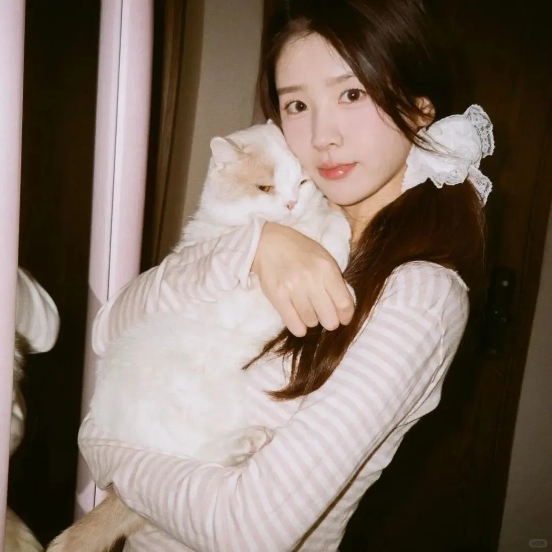 𝙒𝙚𝘾𝙝𝙖𝙩猫系甜妹头像