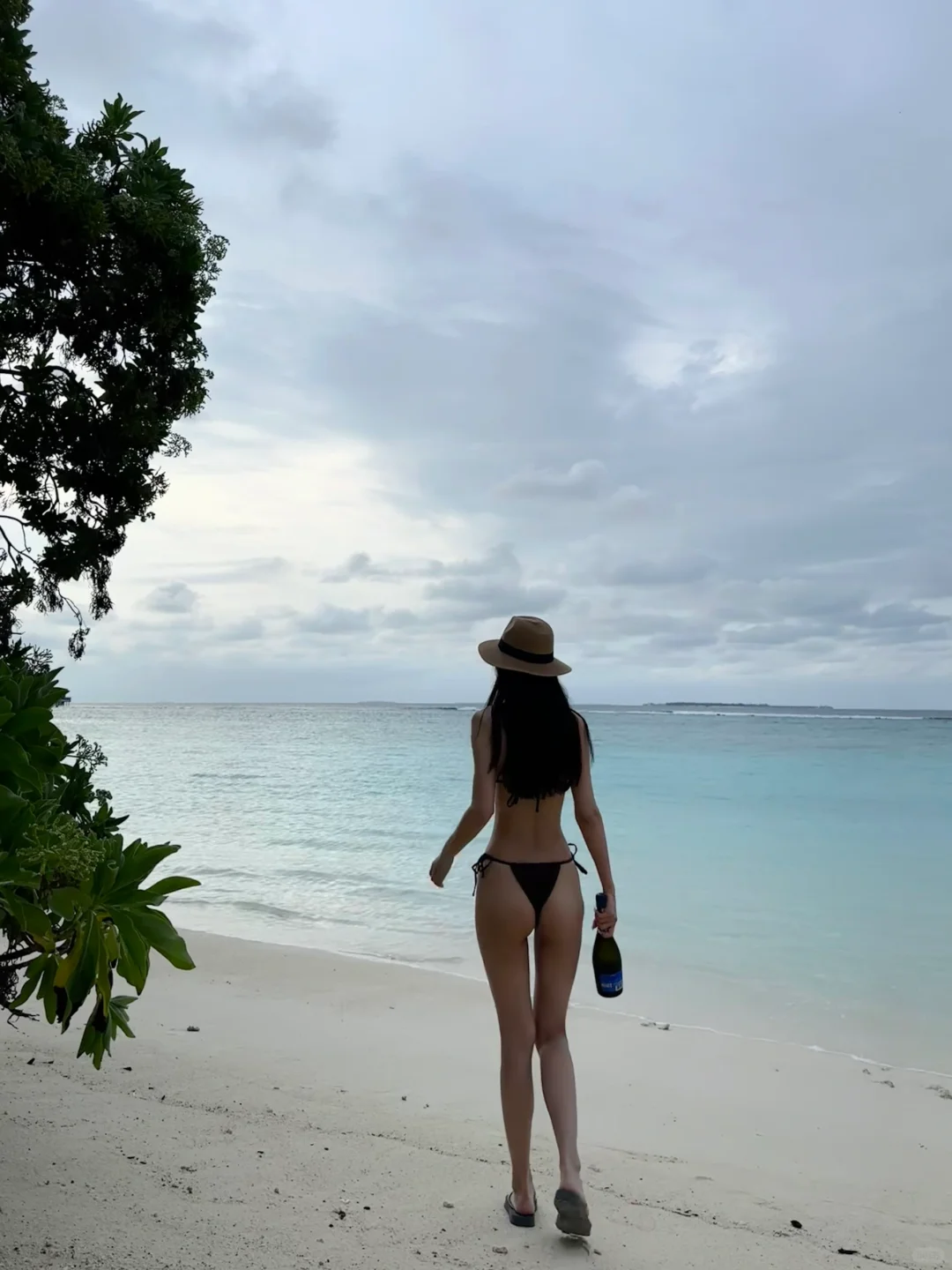 一些海边的live