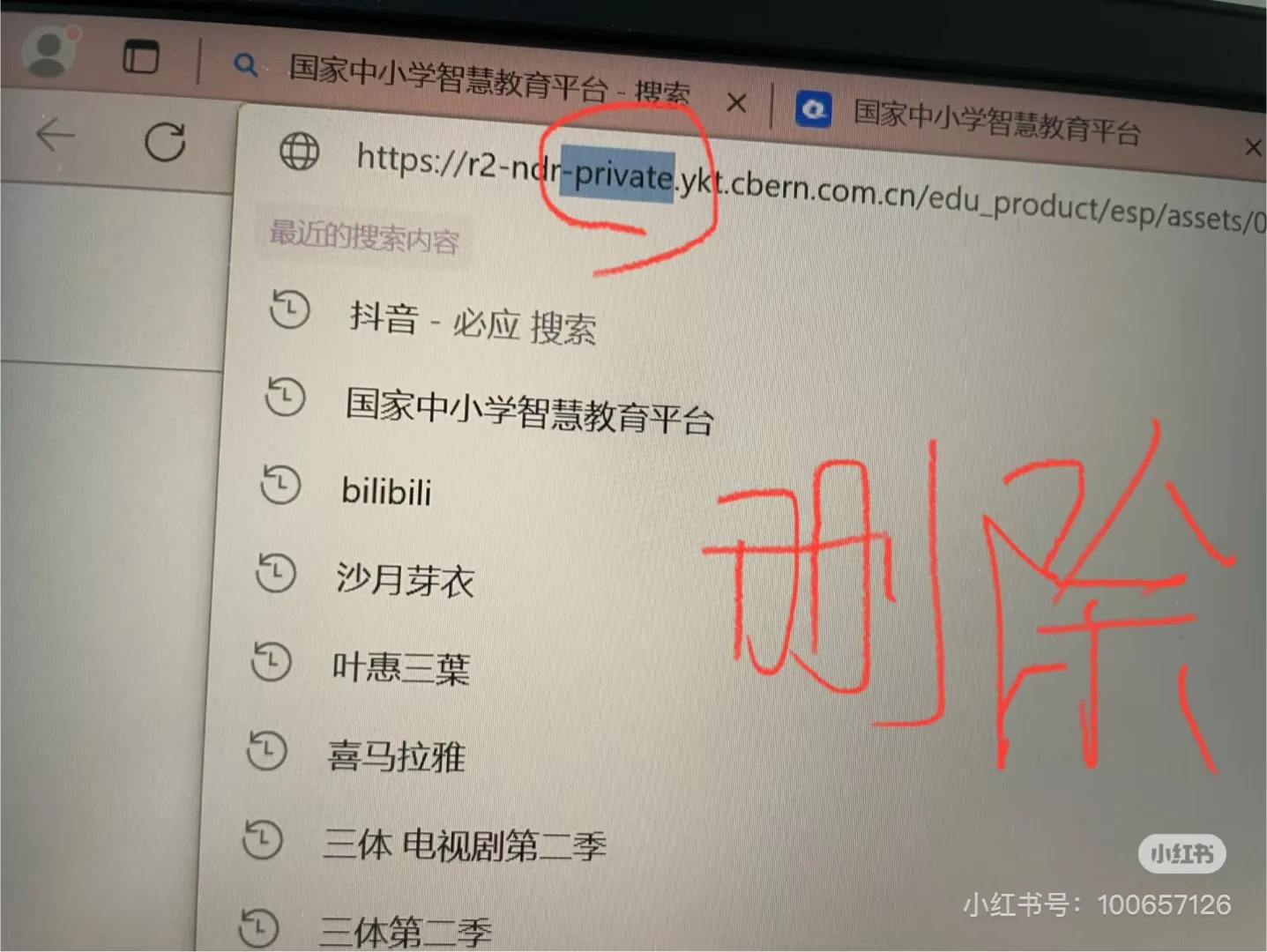 国家中小学智慧平台 电子书下载 免费
