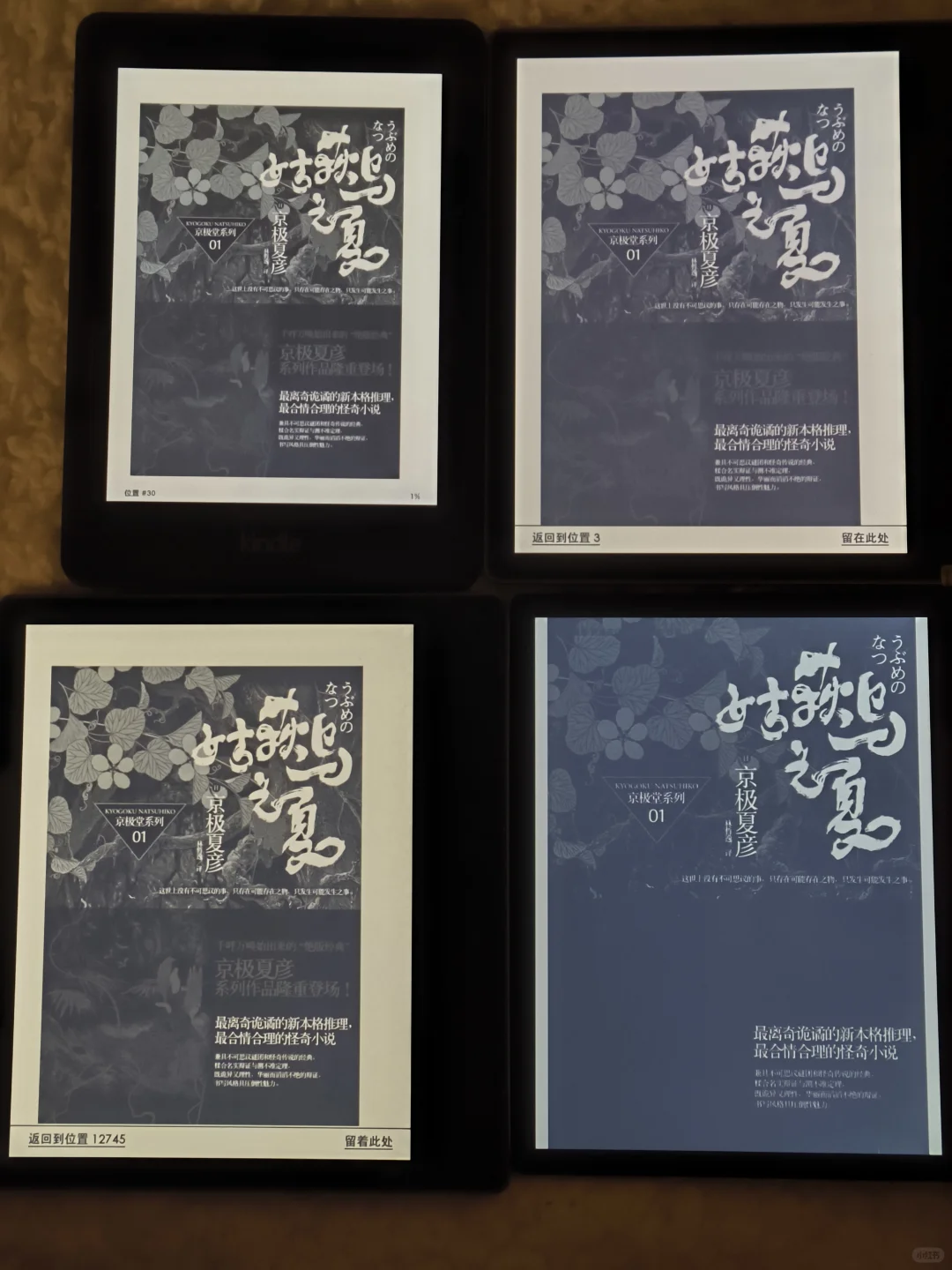kindle 掌阅 图片显示对比