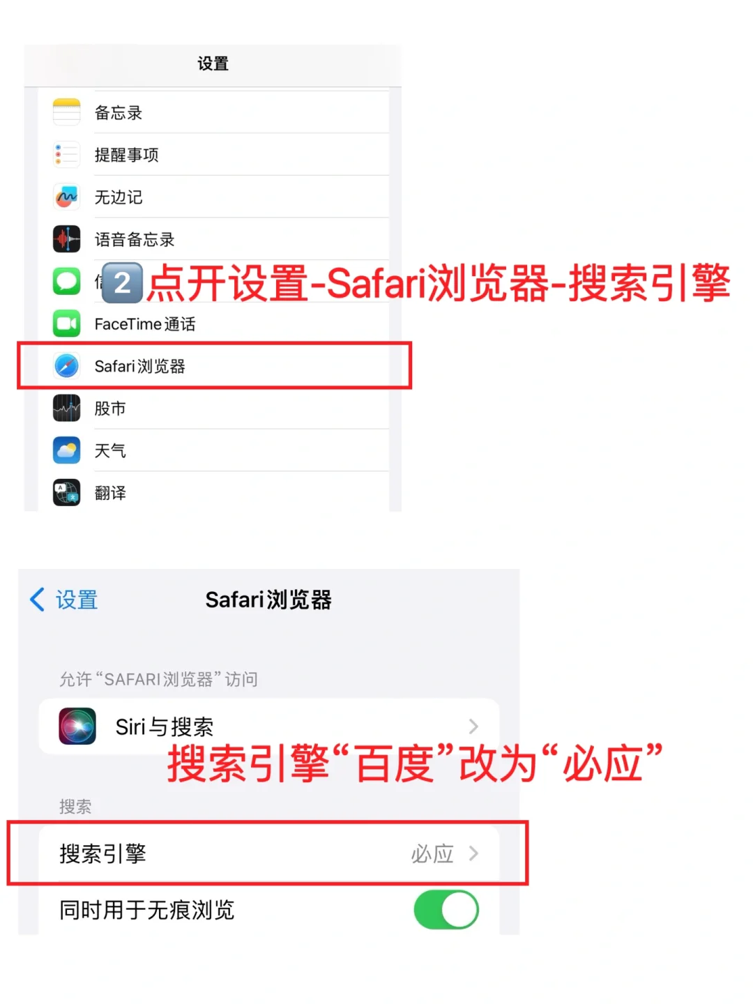 Zlibrary使用教程｜终于实现电子书自由啦‼️