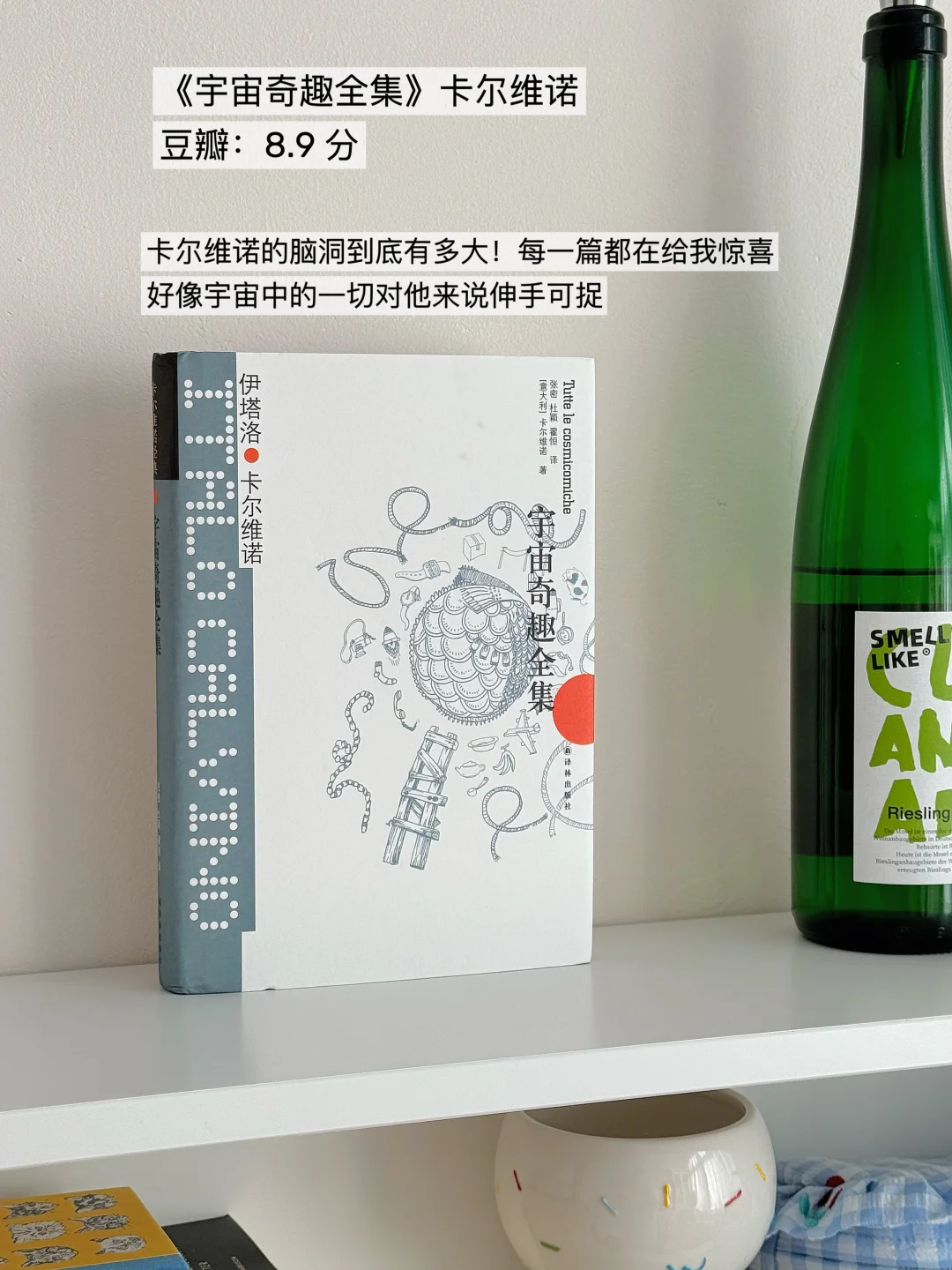 1月待读超古怪又有趣的小说书单❗豆瓣高分❗