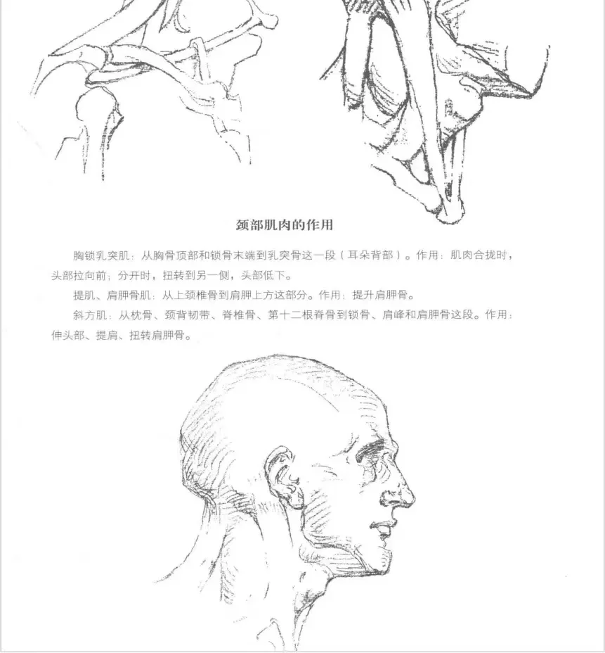 pdf伯里曼详细电子书