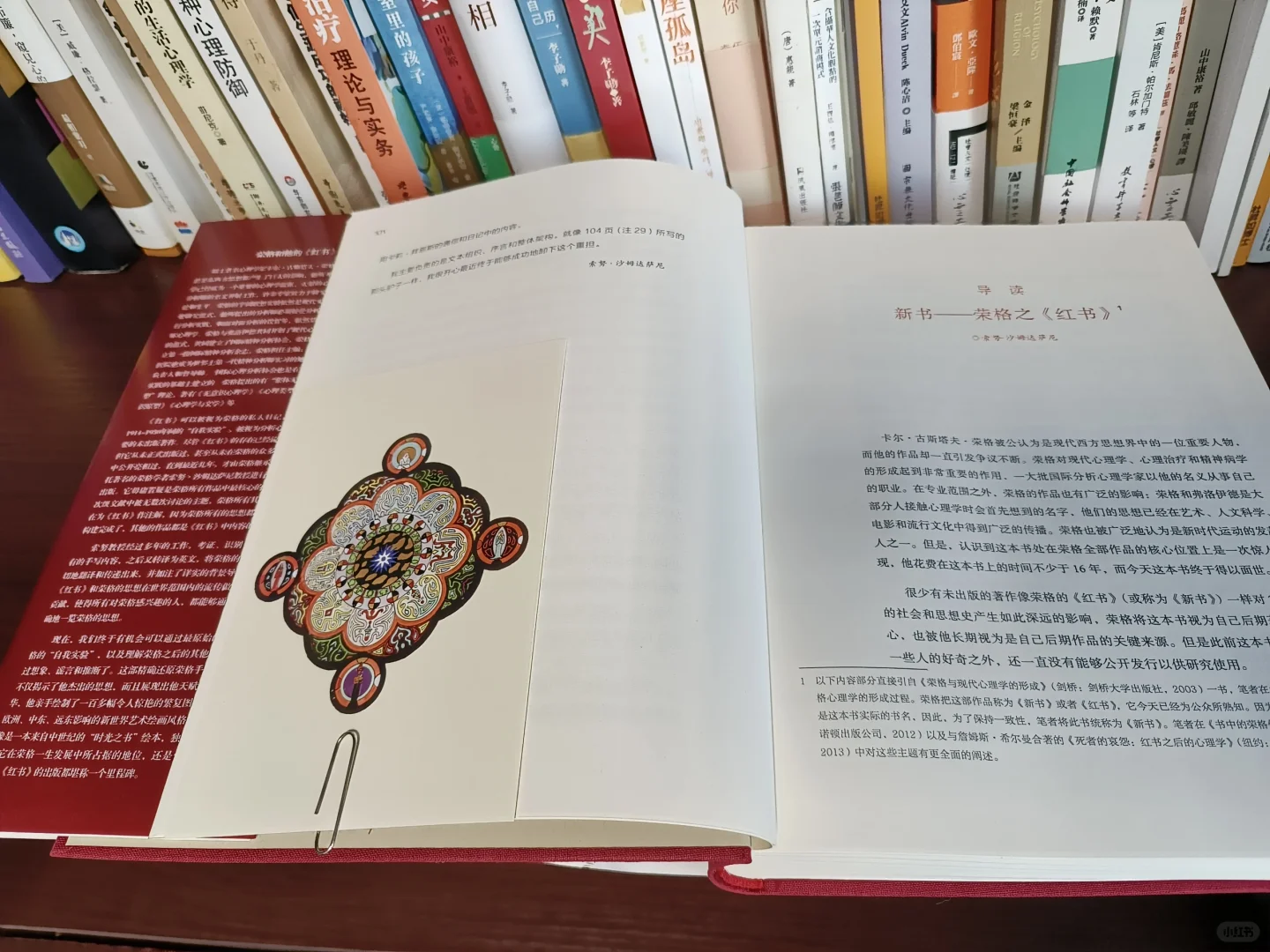 一起来看看，那些年你囤过的书吧！