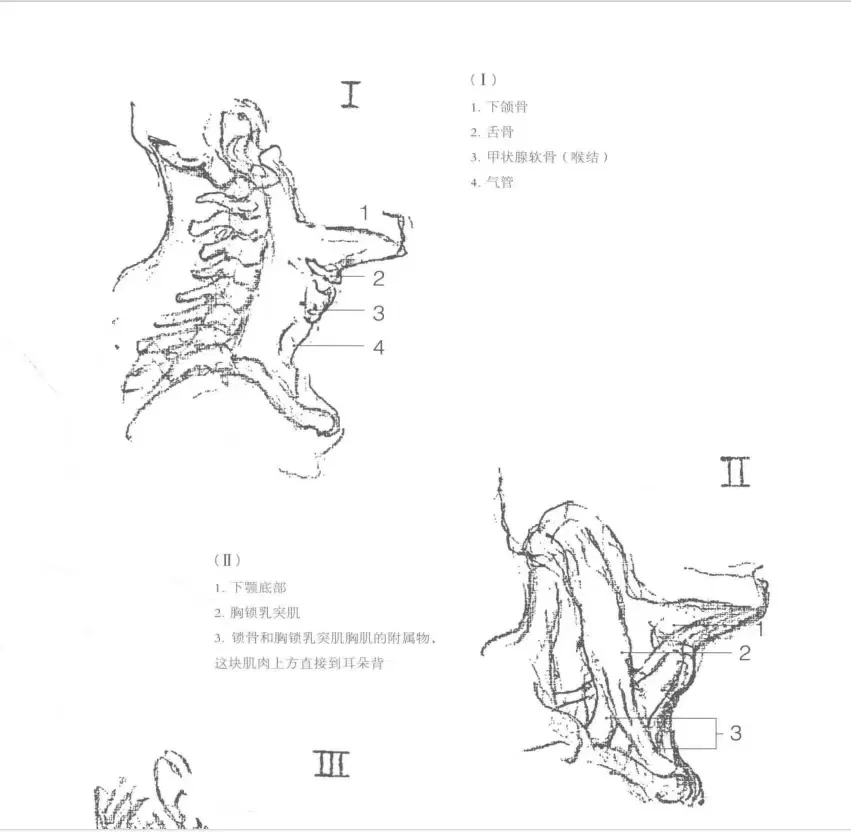 pdf伯里曼详细电子书