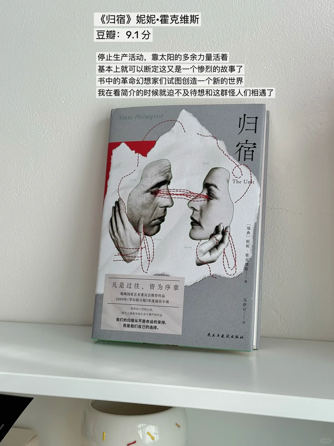 1月待读超古怪又有趣的小说书单❗豆瓣高分❗