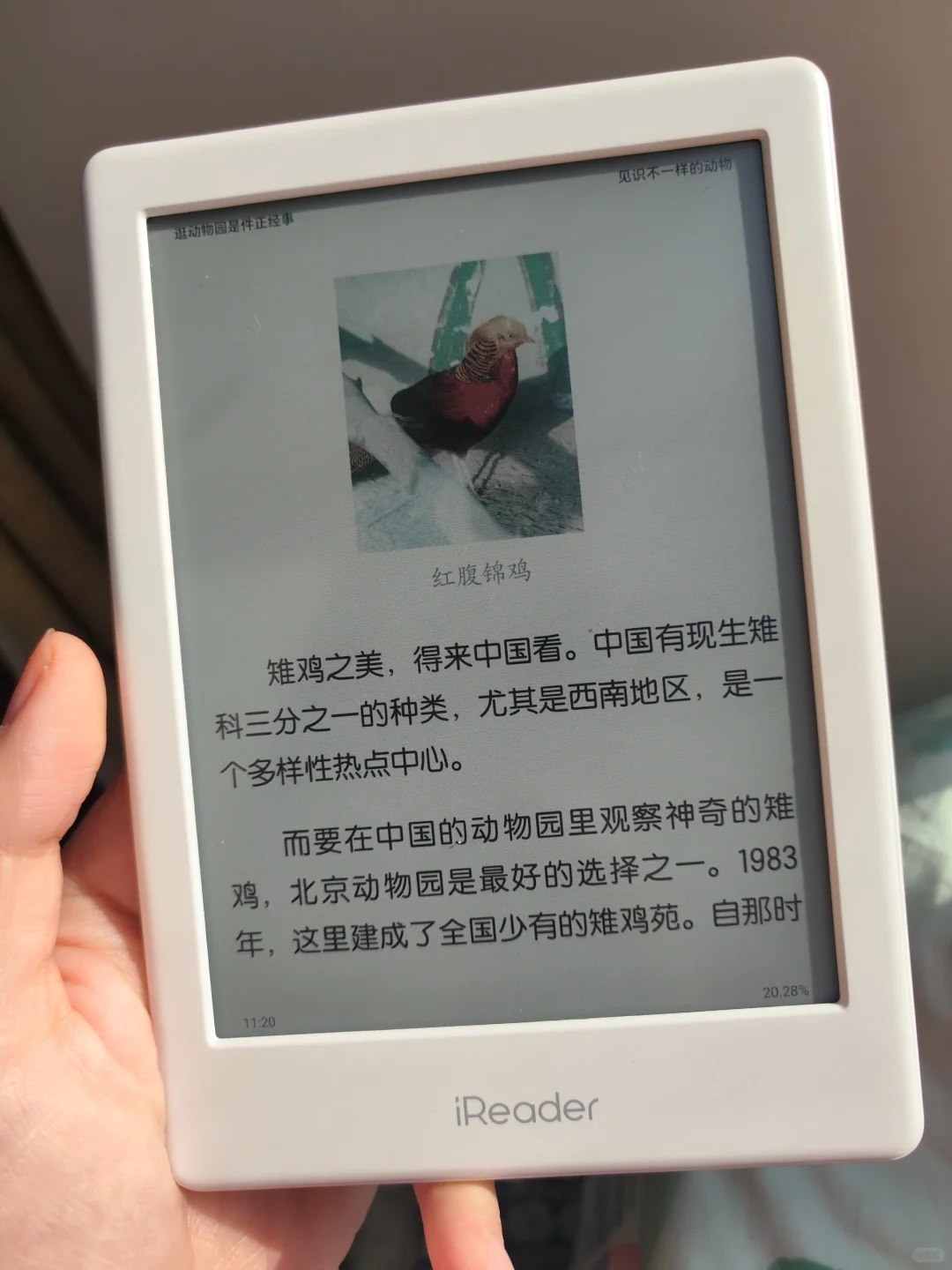科普图书还是得看彩色🌈的
