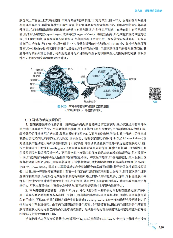 医学生福利-生理学 10版 电子书 PDF