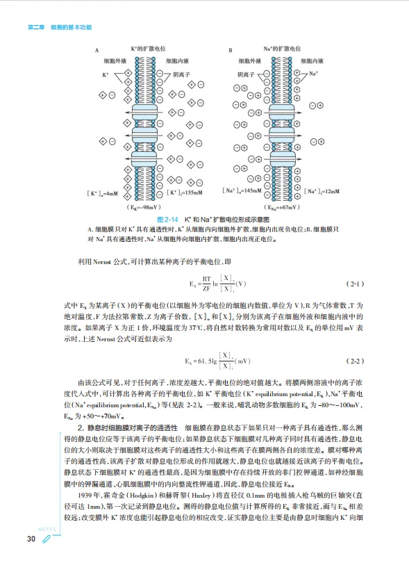 医学生福利-生理学 10版 电子书 PDF