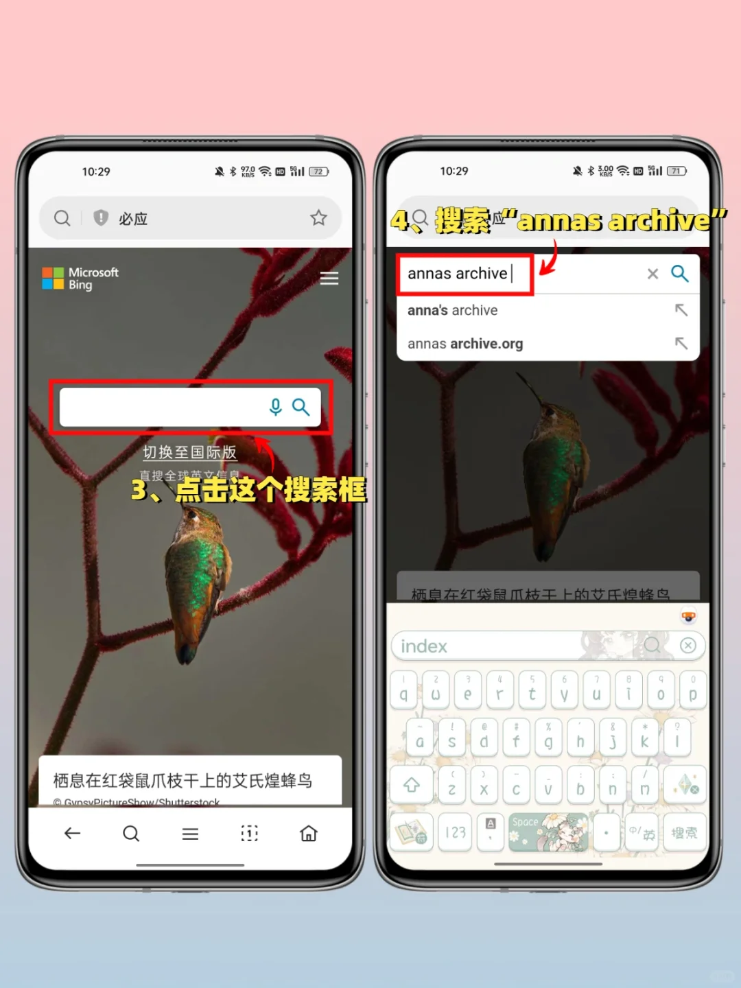 ZLibrary回来啦❗谢谢oppo帮我实现看书自由