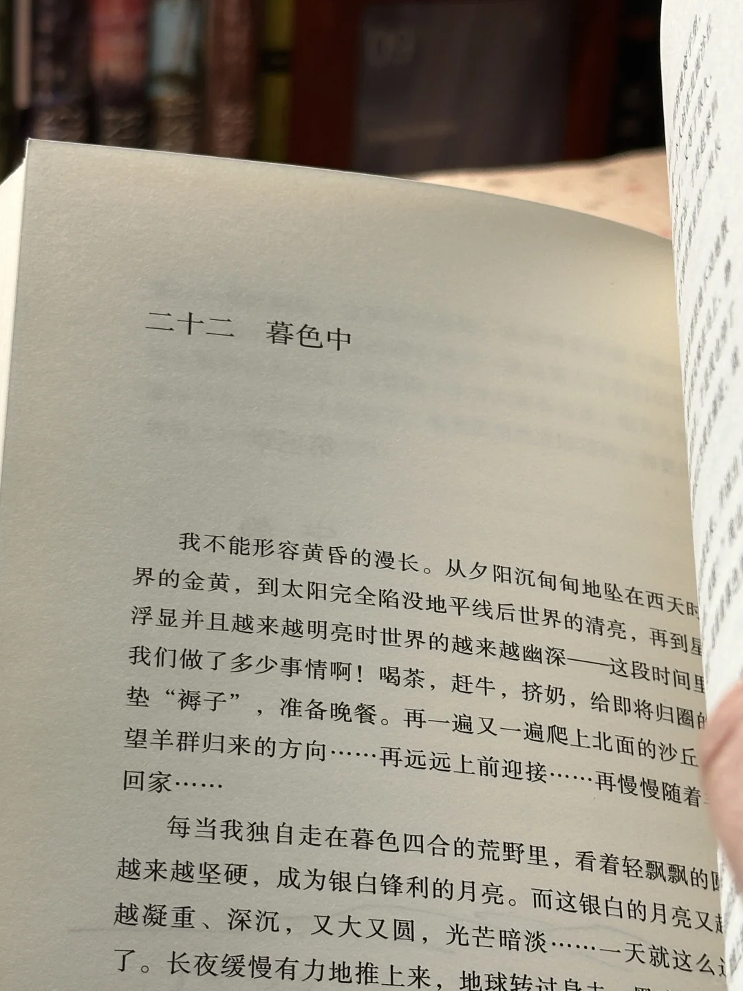 攒了很久的冬日氛围感书单！每一本都好爱