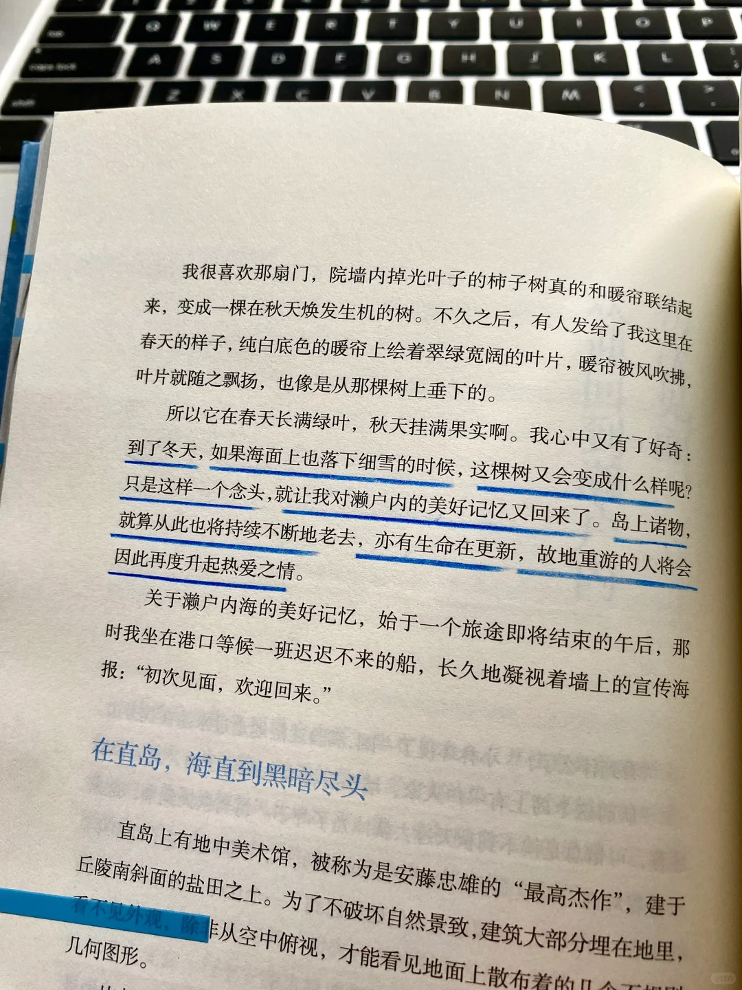 她真的好会写啊！文笔差，建议翻烂这本书