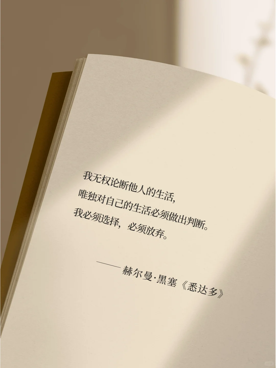 《悉达多》真的把人生说的太通透了！
