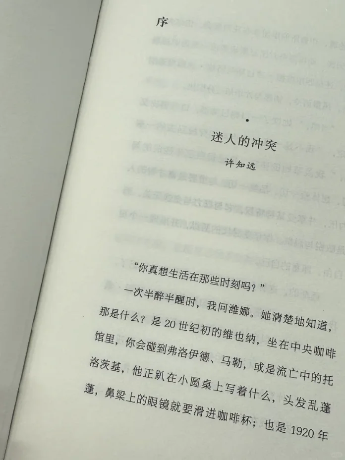 不愧是许知远推荐！读完后劲太大了😭
