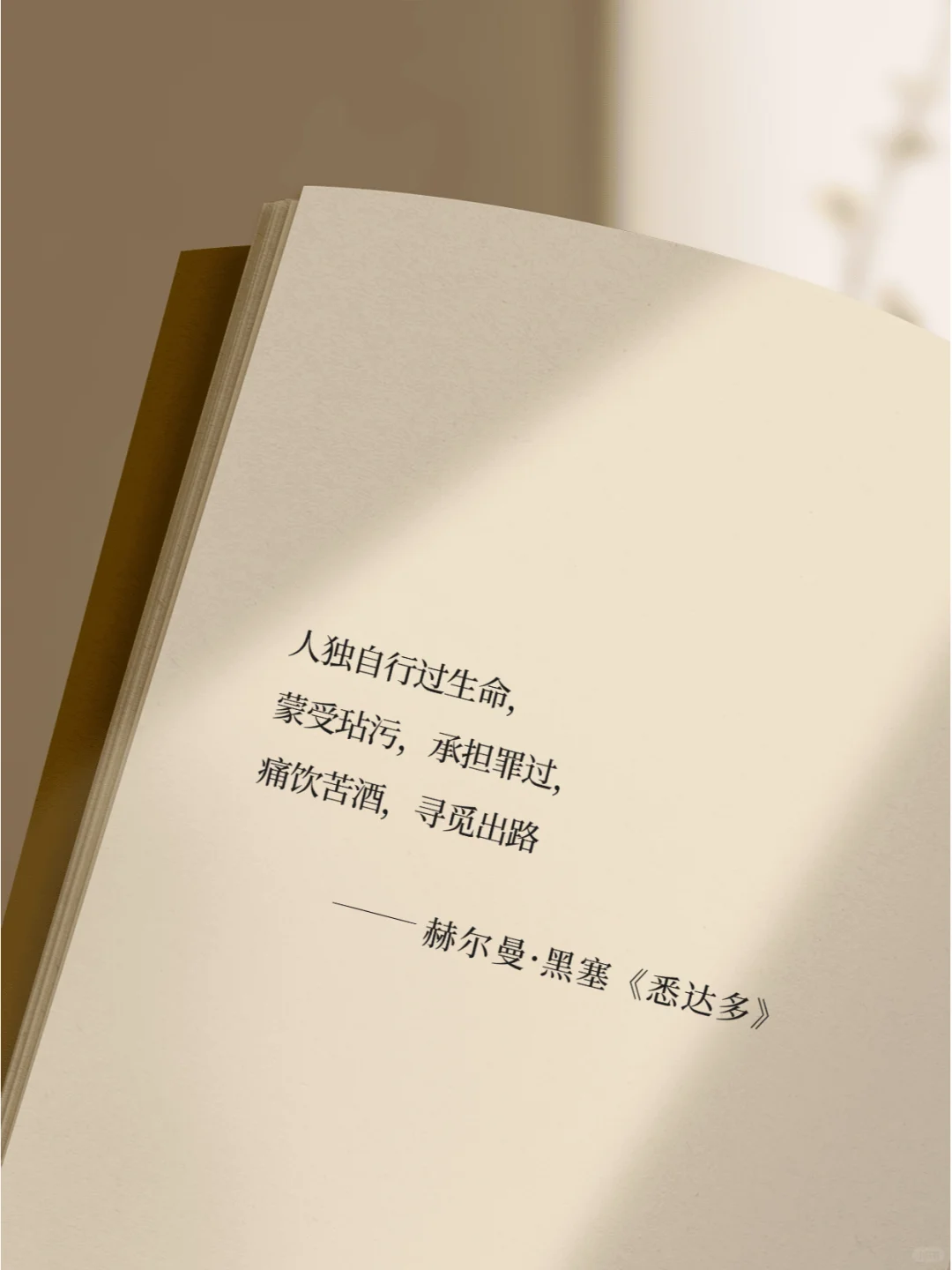 《悉达多》真的把人生说的太通透了！