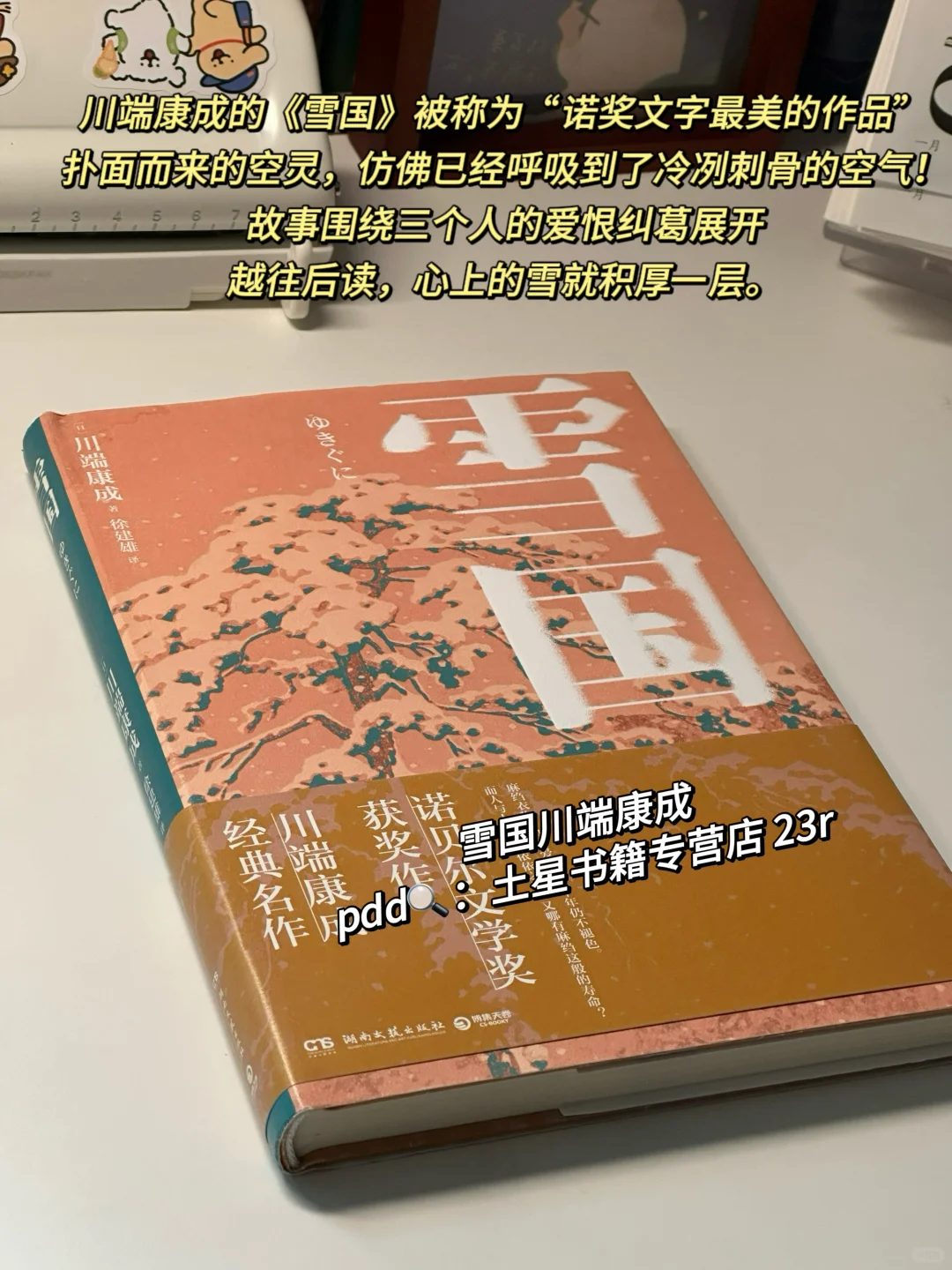 攒了很久的冬日氛围感书单！每一本都好爱