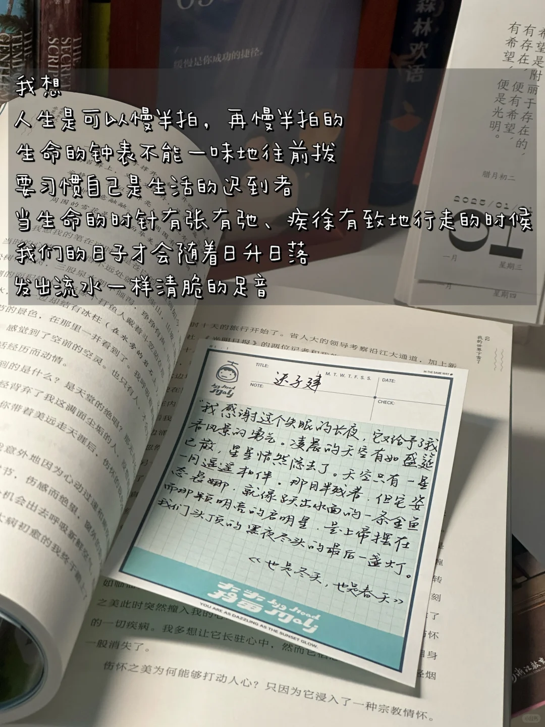 攒了很久的冬日氛围感书单！每一本都好爱