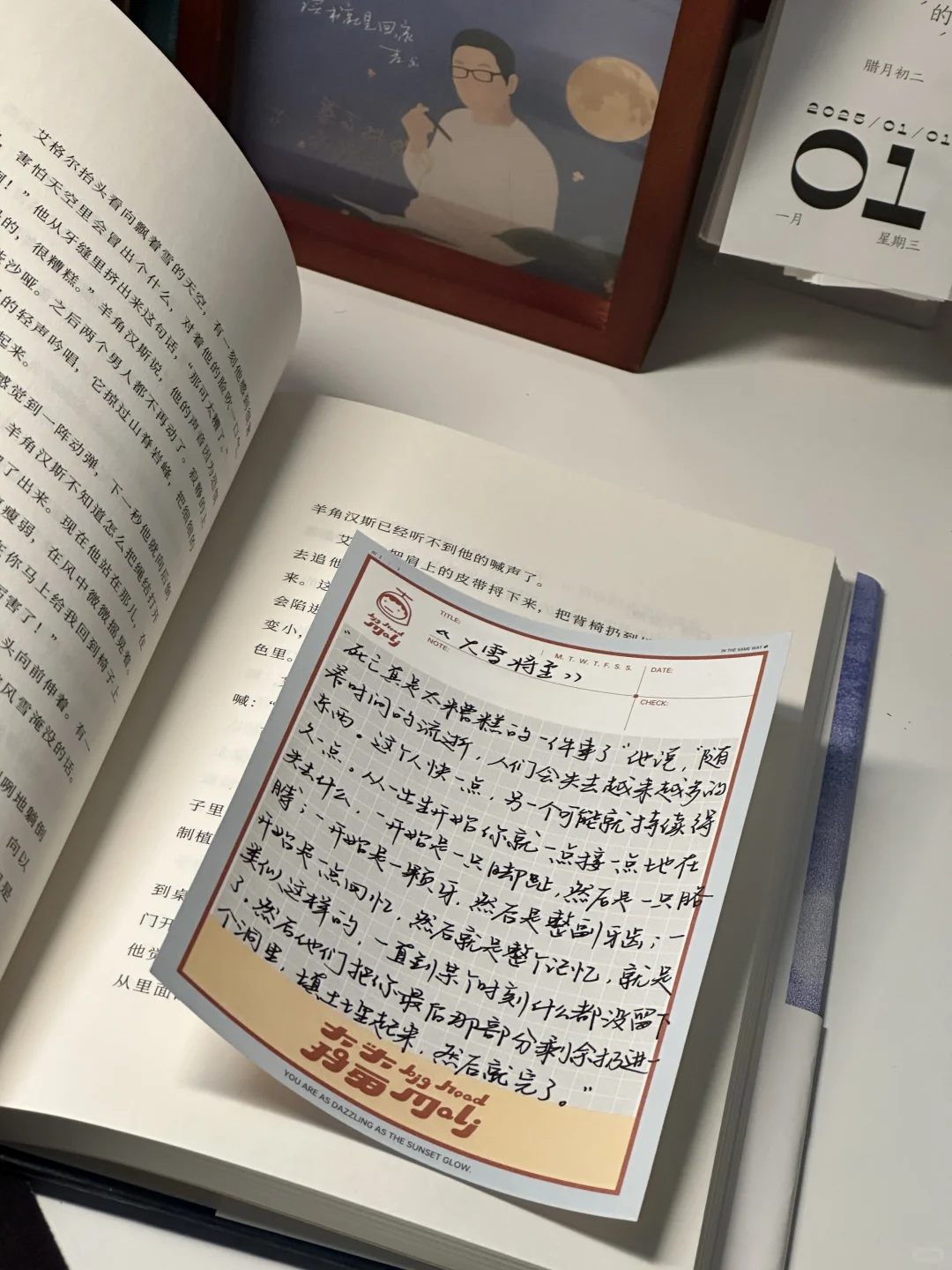 攒了很久的冬日氛围感书单！每一本都好爱