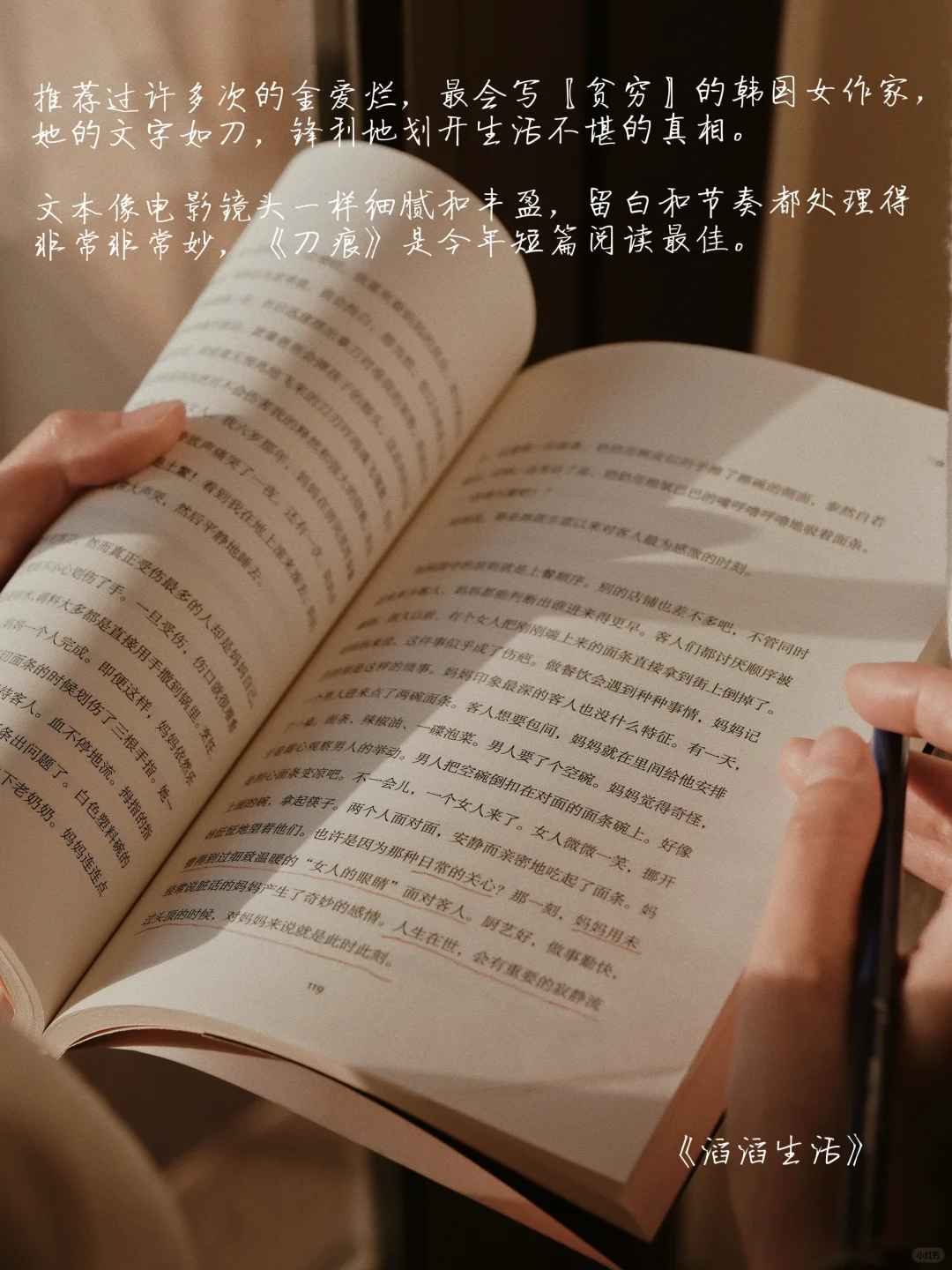 2024年度书单