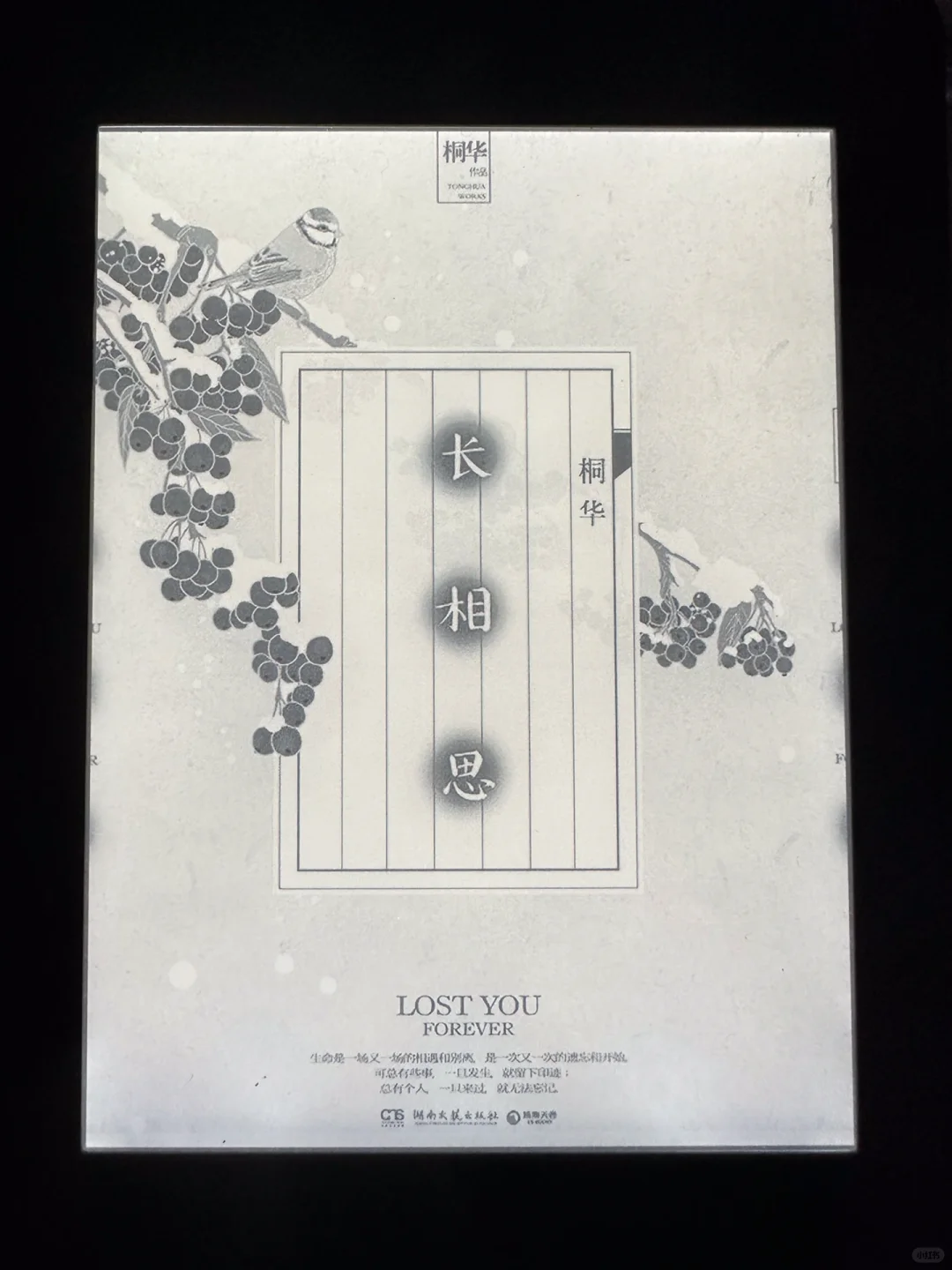 长相思 小说 mobi格式
