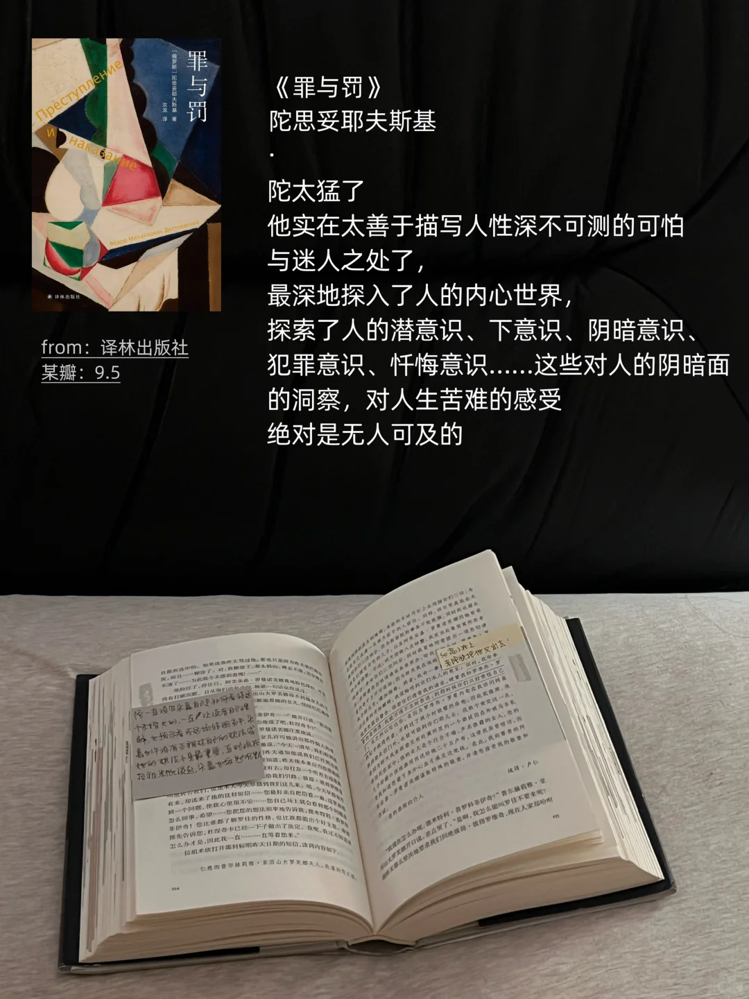 我的2024年度书单（们