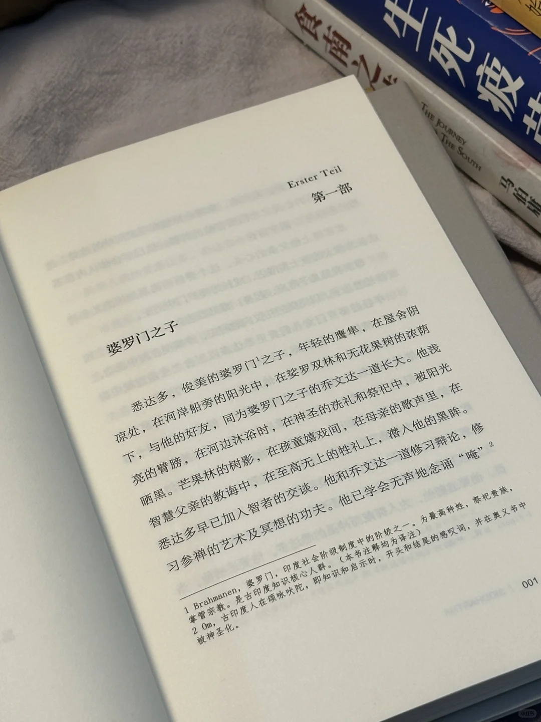 读书博主的一些25年重读书单