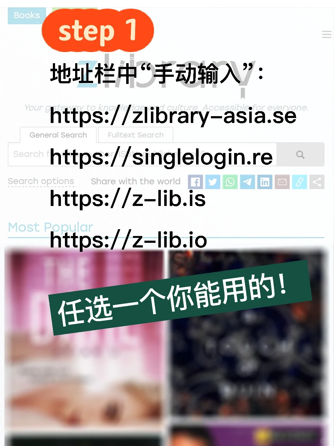 Z-Library苹果电脑桌面端安装方式