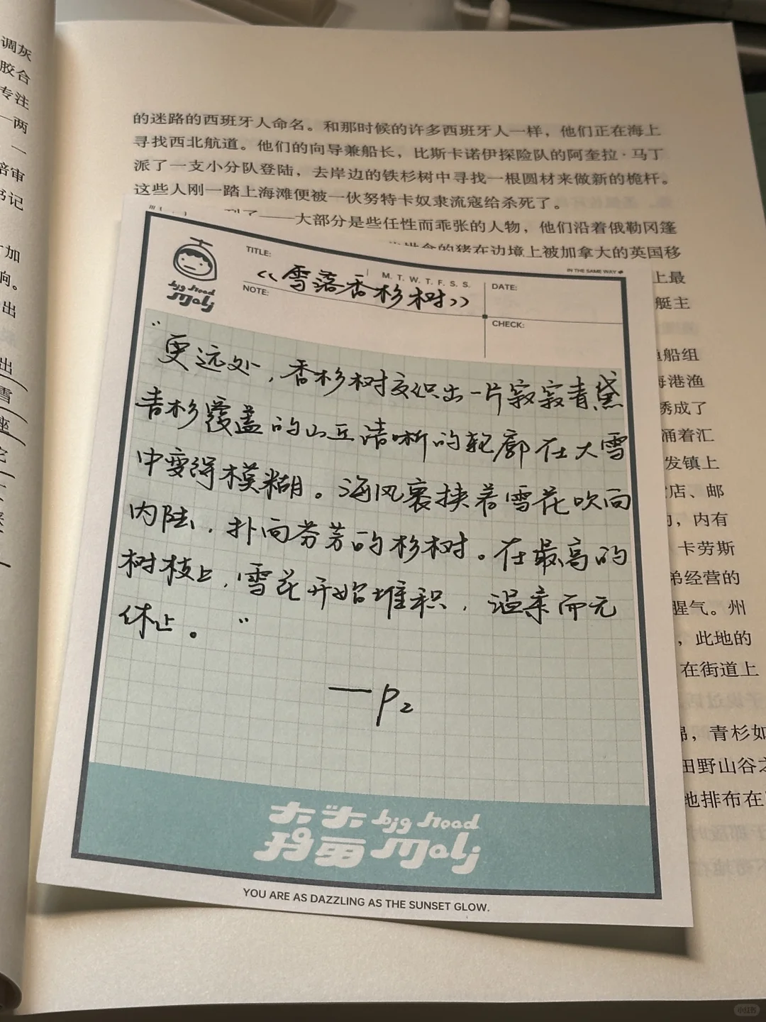 攒了很久的冬日氛围感书单！每一本都好爱