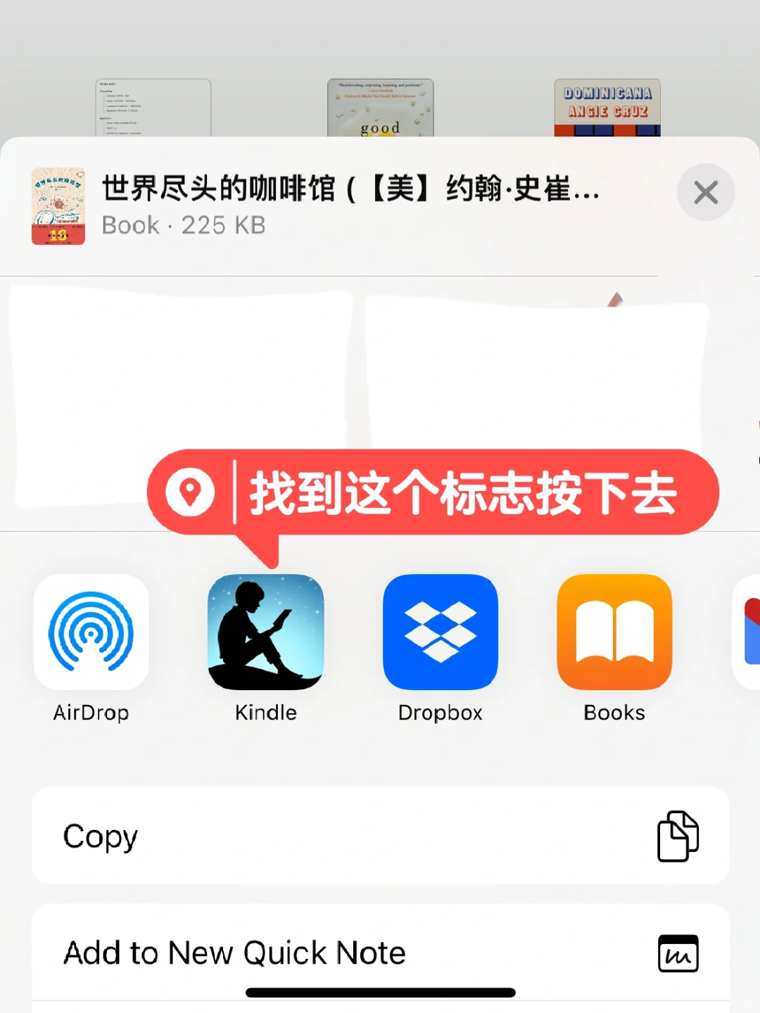 4步Zlibary下载并上传至Kindle阅读器