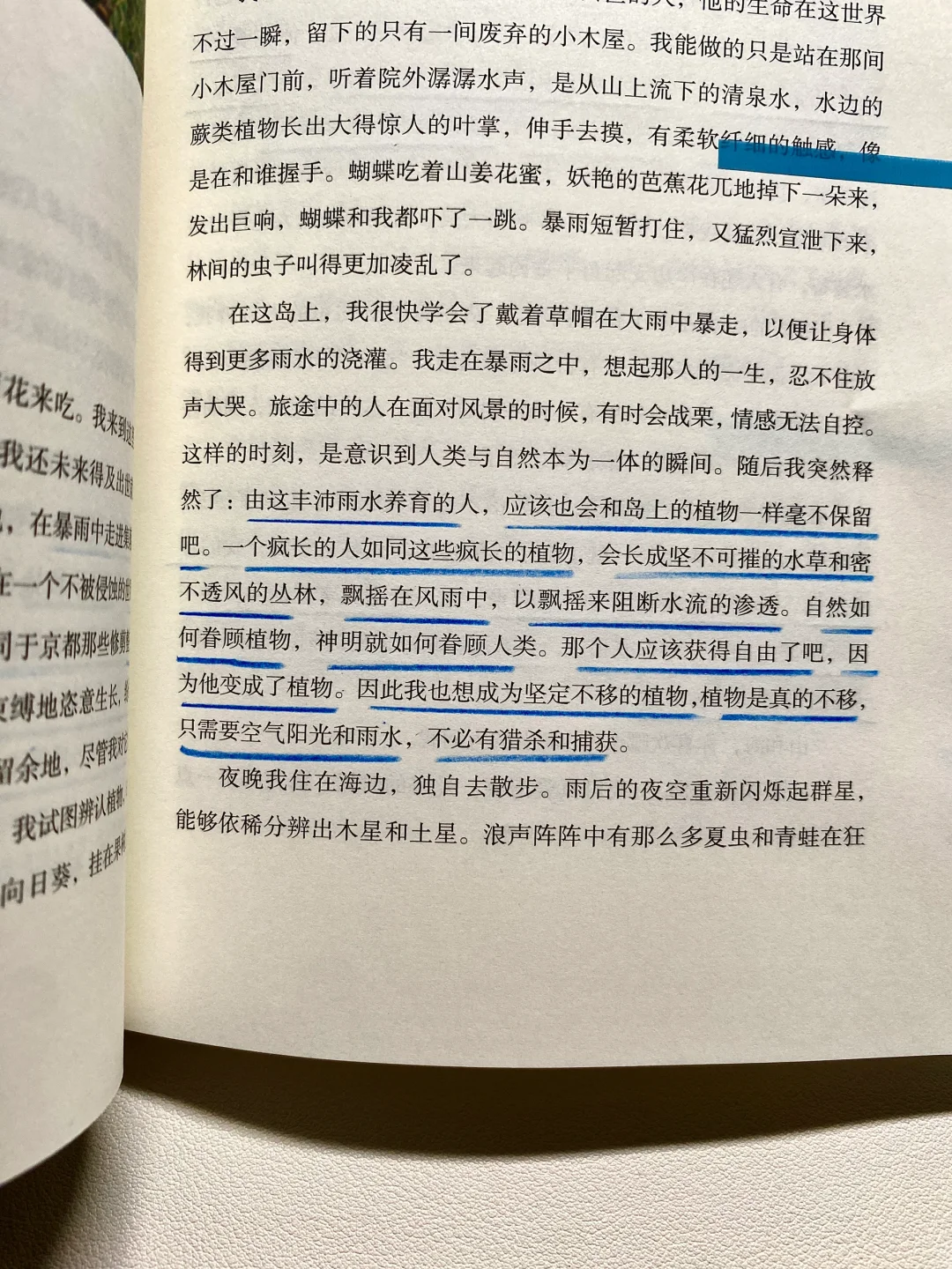 她真的好会写啊！文笔差，建议翻烂这本书