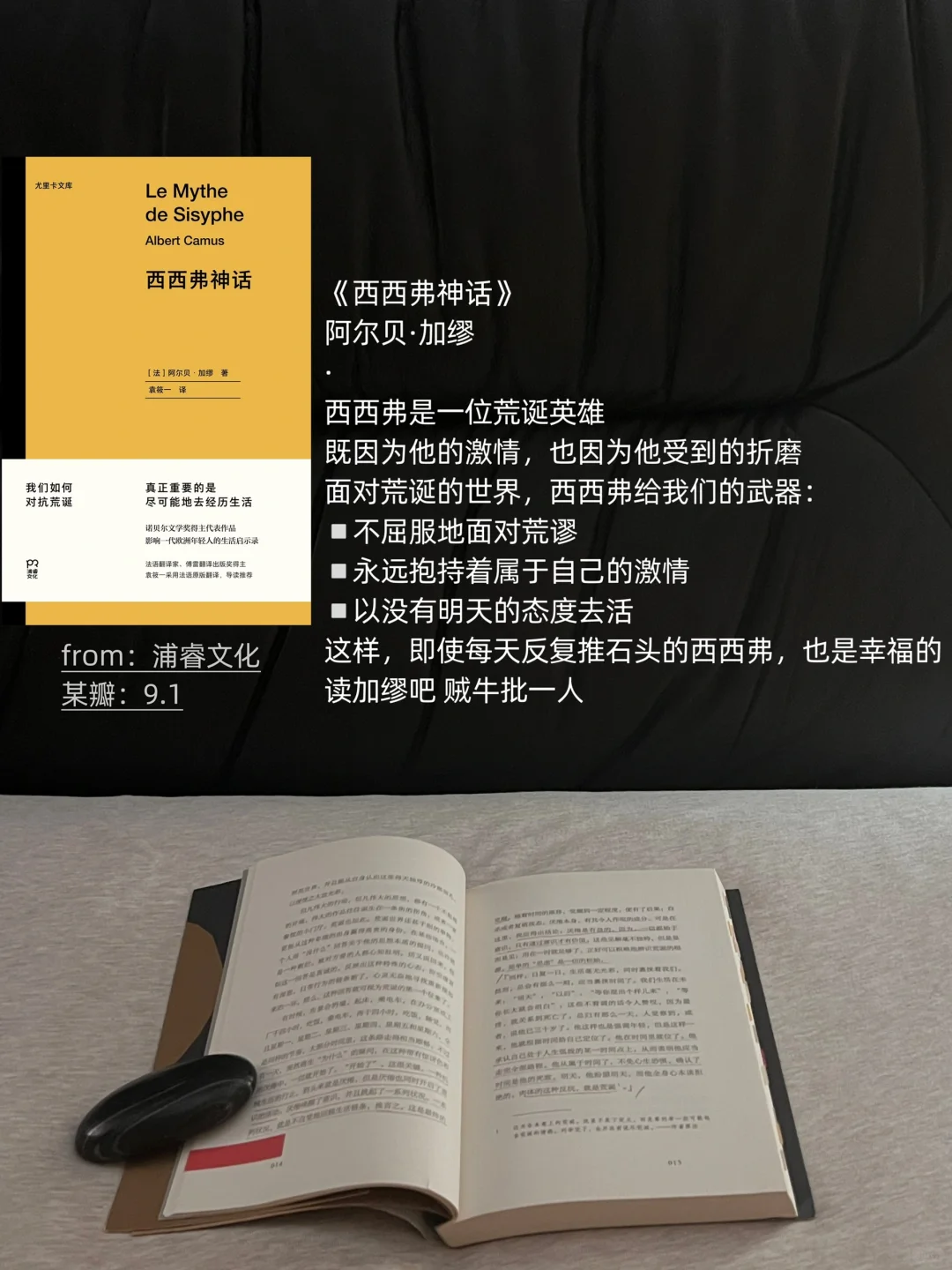 我的2024年度书单（们
