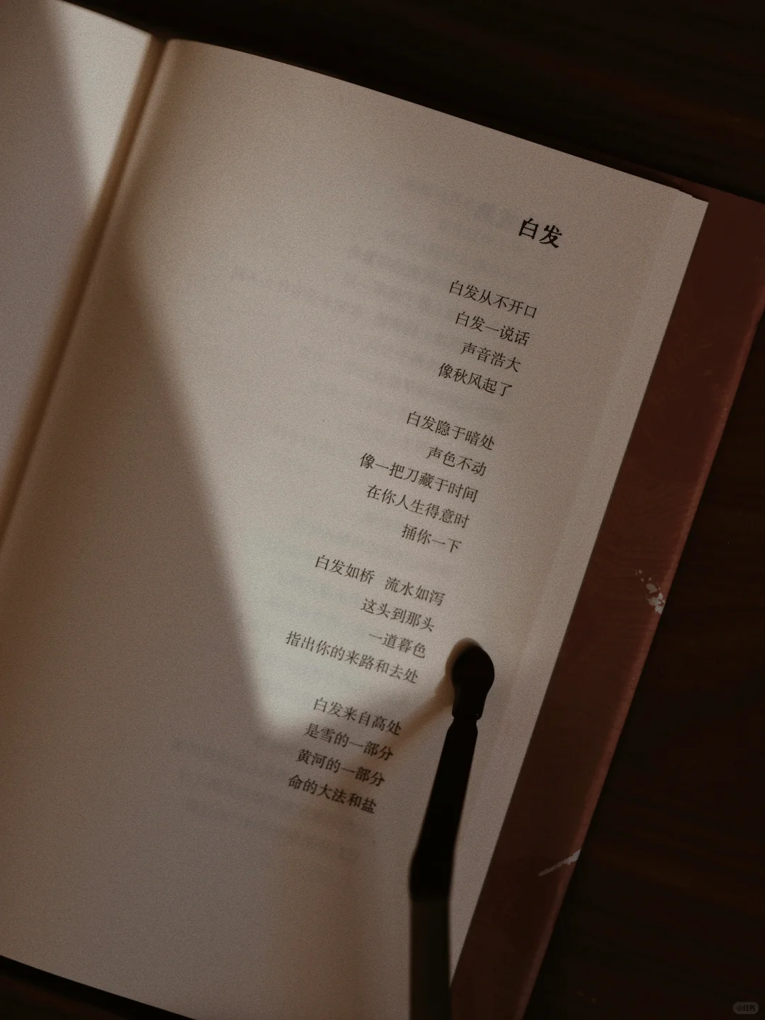 2024年度书单