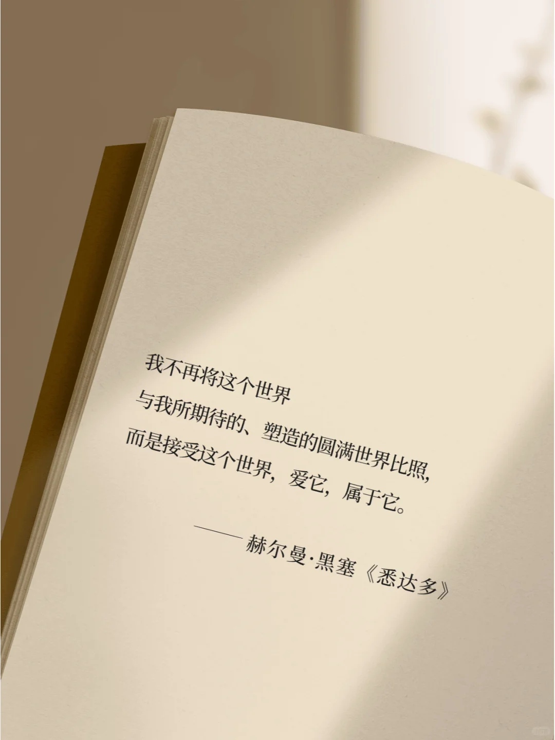 《悉达多》真的把人生说的太通透了！