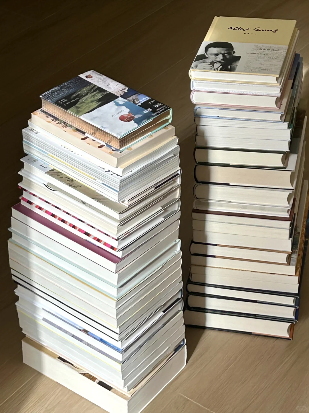 2024｜我的年度书单📚