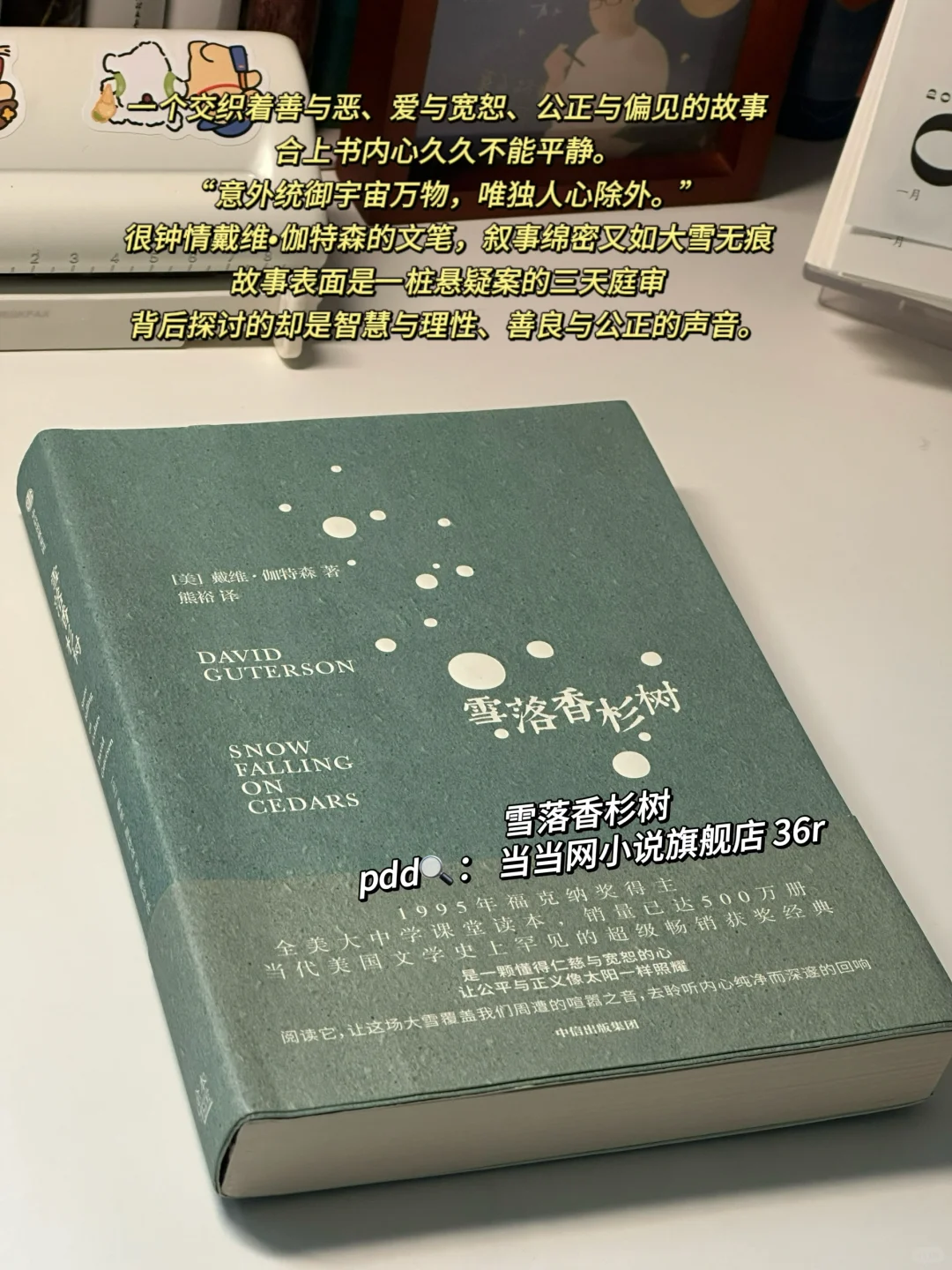 攒了很久的冬日氛围感书单！每一本都好爱