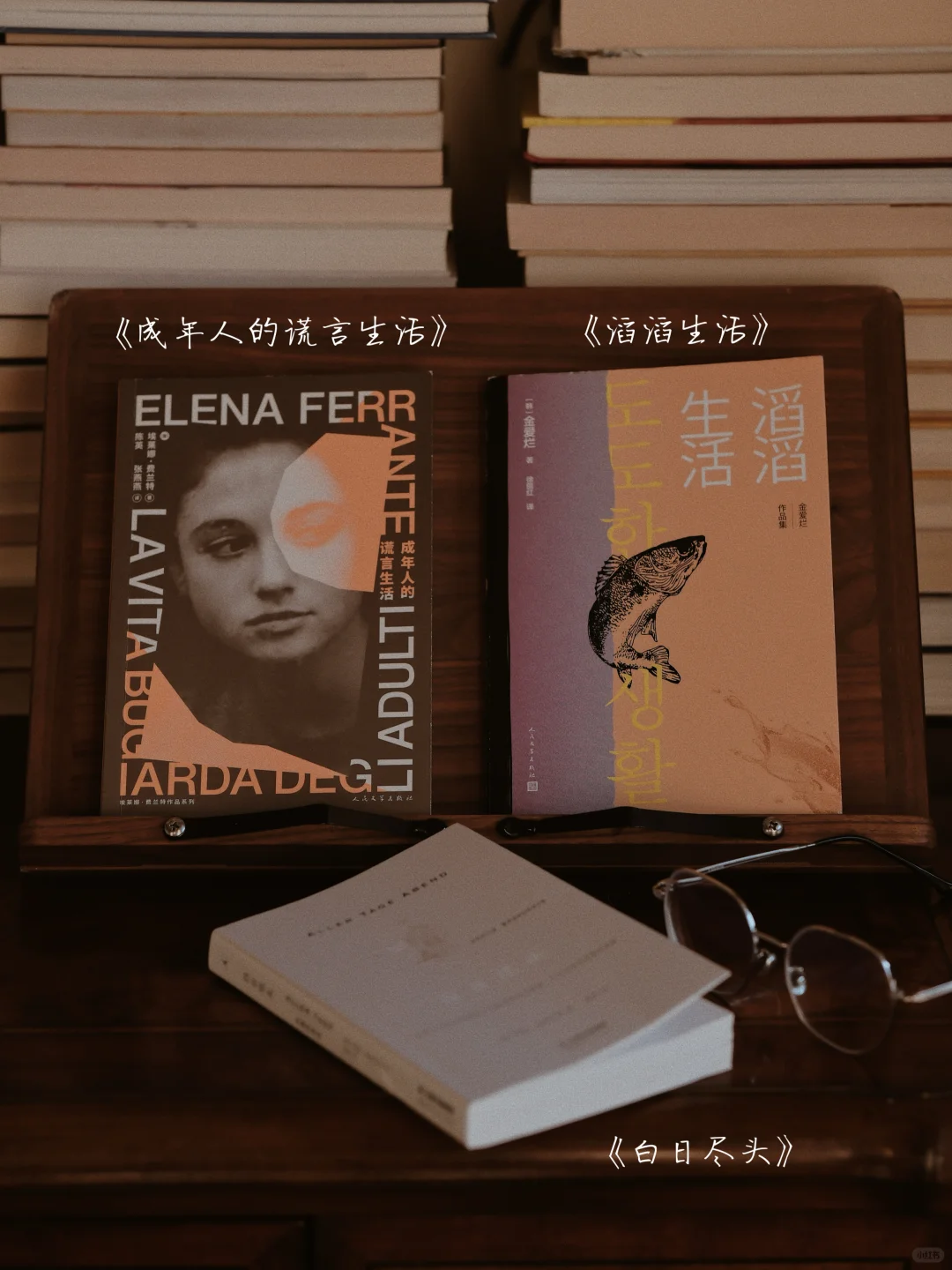 2024年度书单