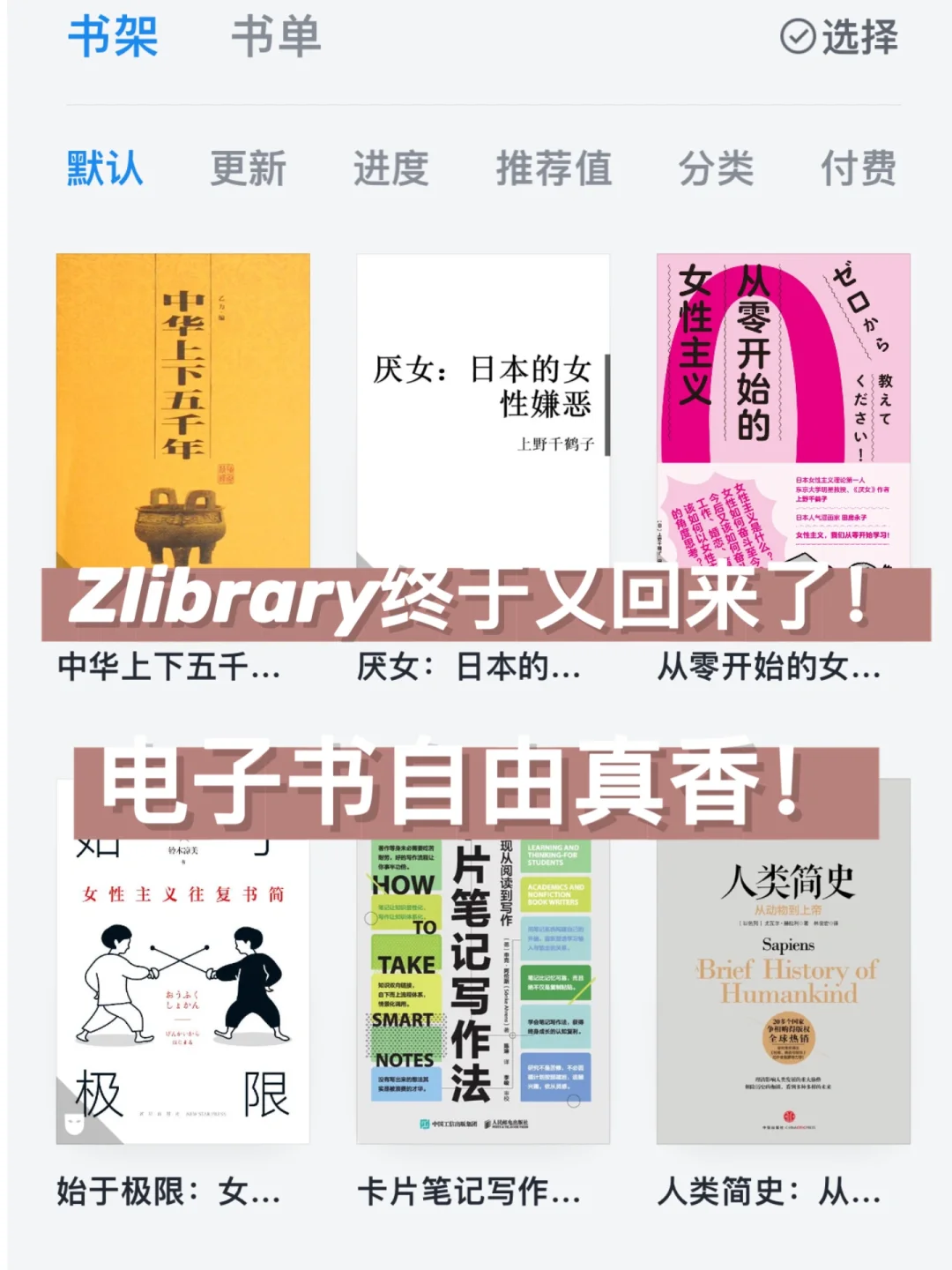 Zlibrary回归了🔥电子书自由了！亲测有效
