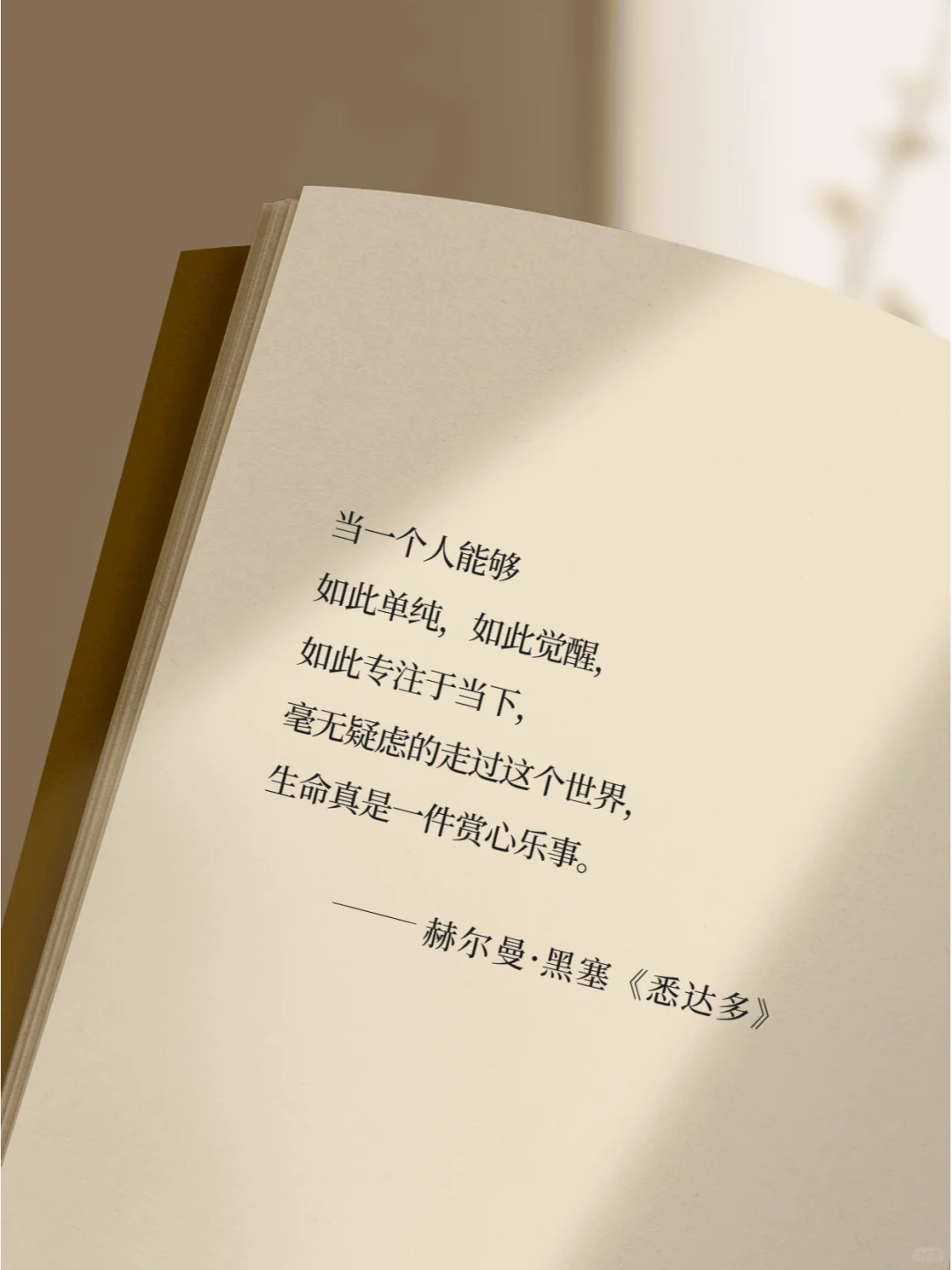 《悉达多》真的把人生说的太通透了！