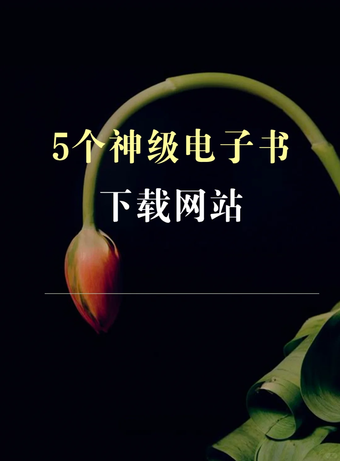 5个神级电子书下载网站！全世界99%的电子书