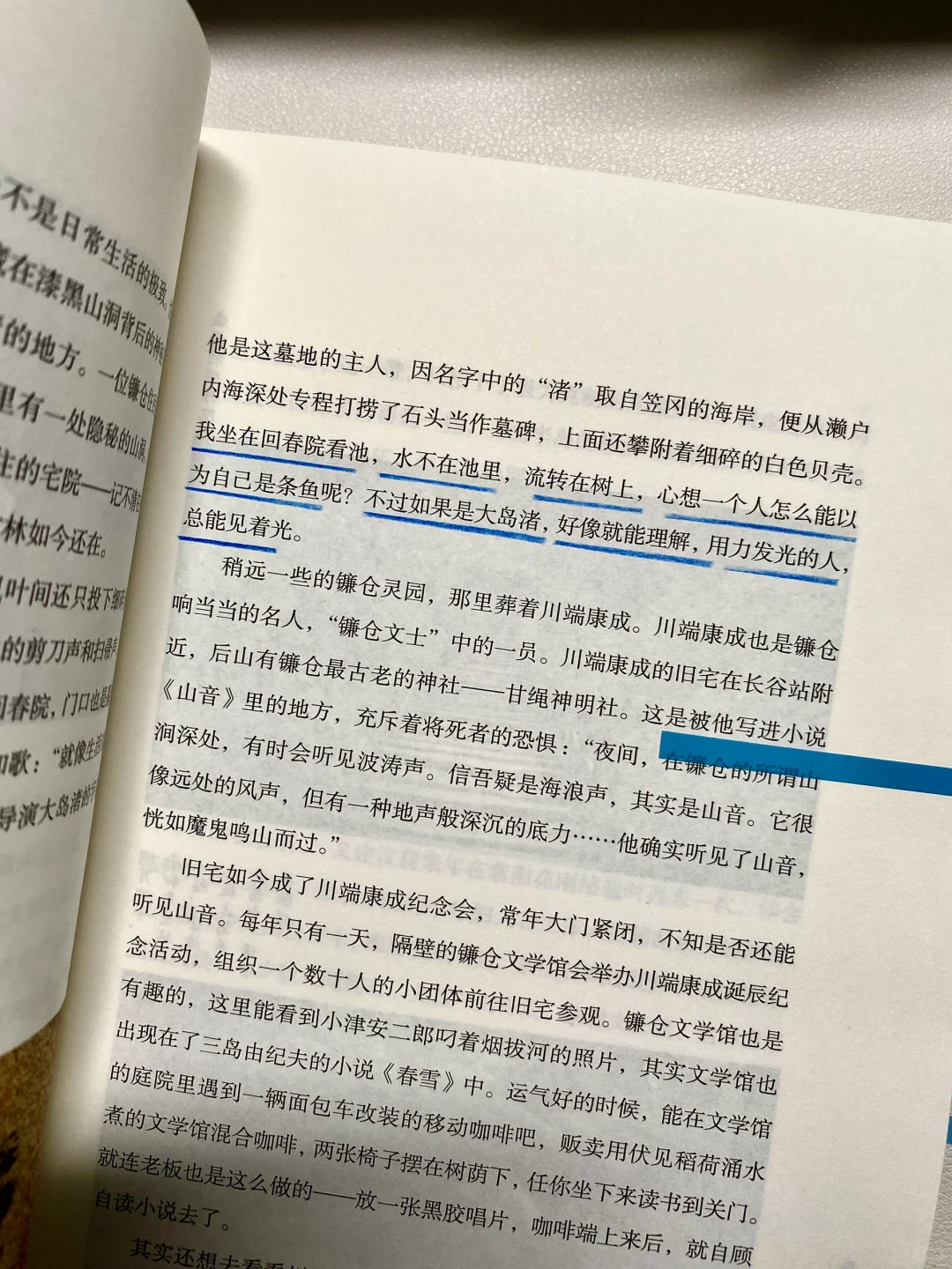 她真的好会写啊！文笔差，建议翻烂这本书