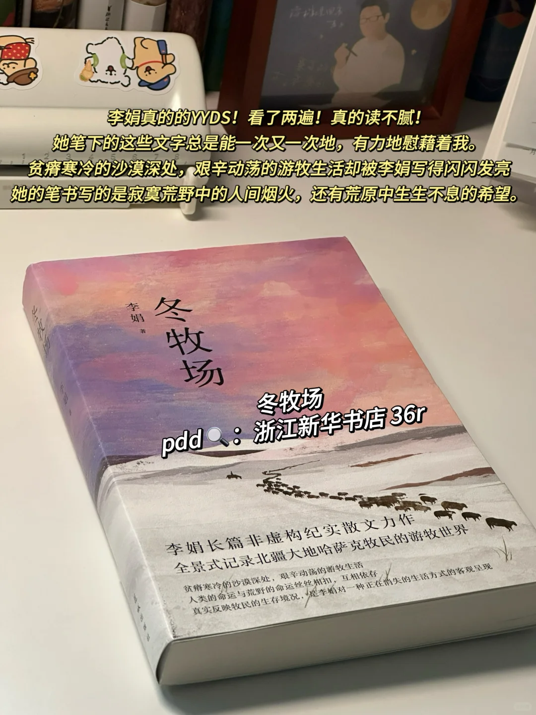 攒了很久的冬日氛围感书单！每一本都好爱