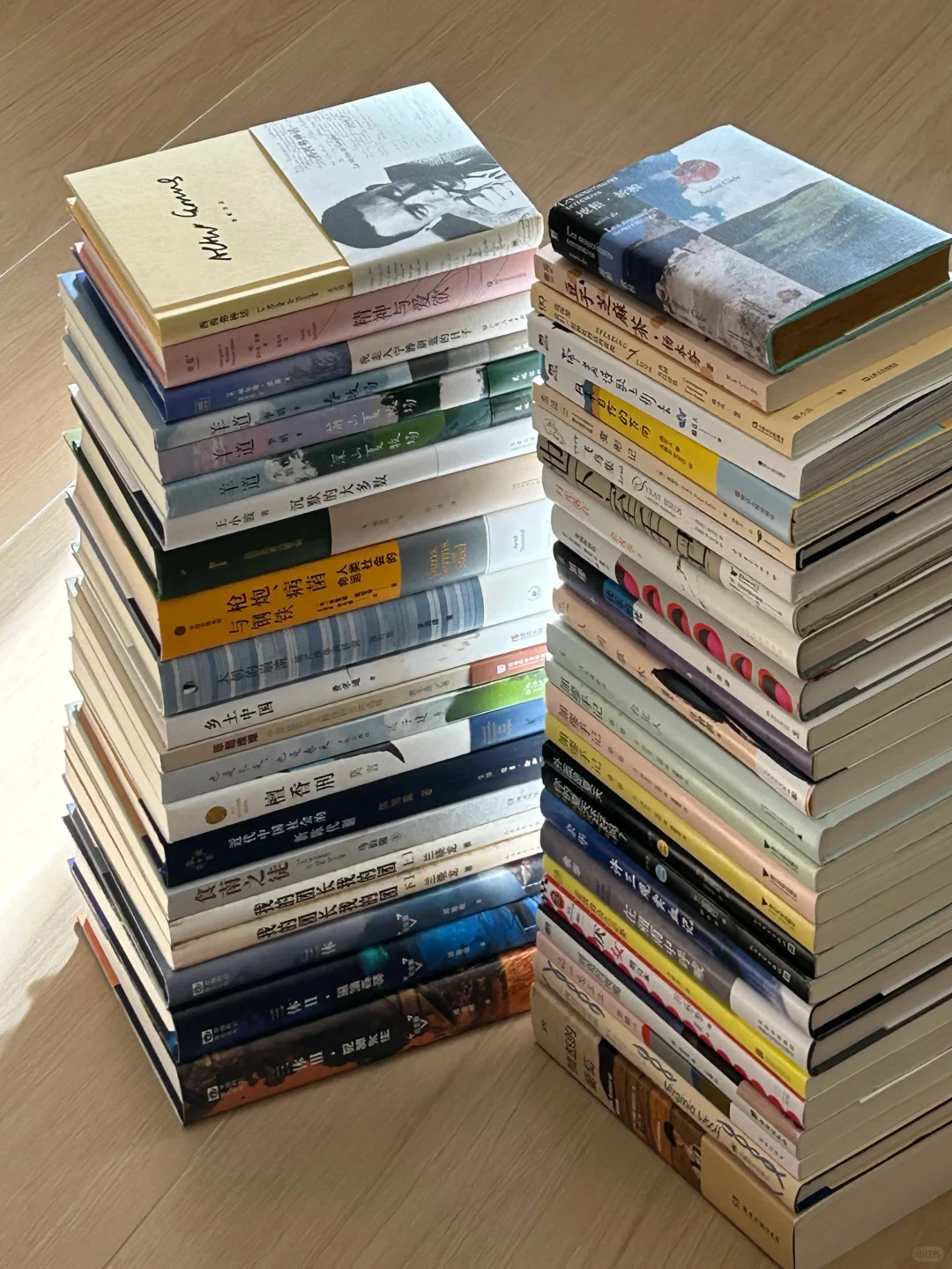 2024｜我的年度书单📚