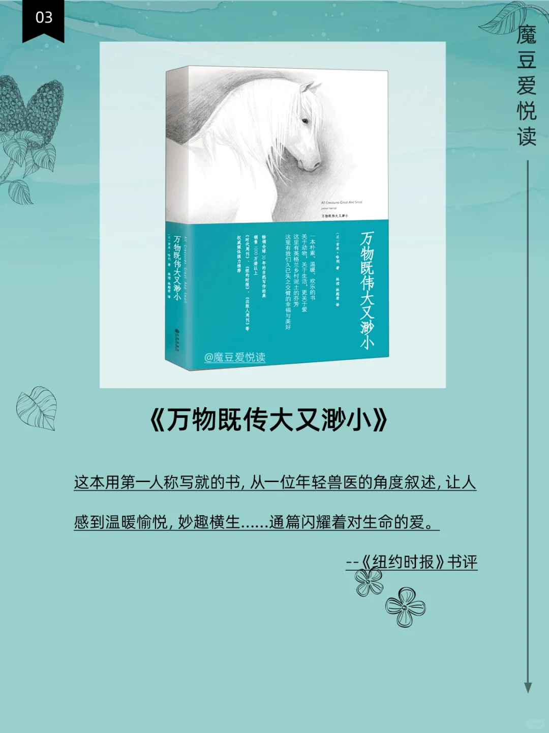 📚 2025年月书单推荐 系列（1）