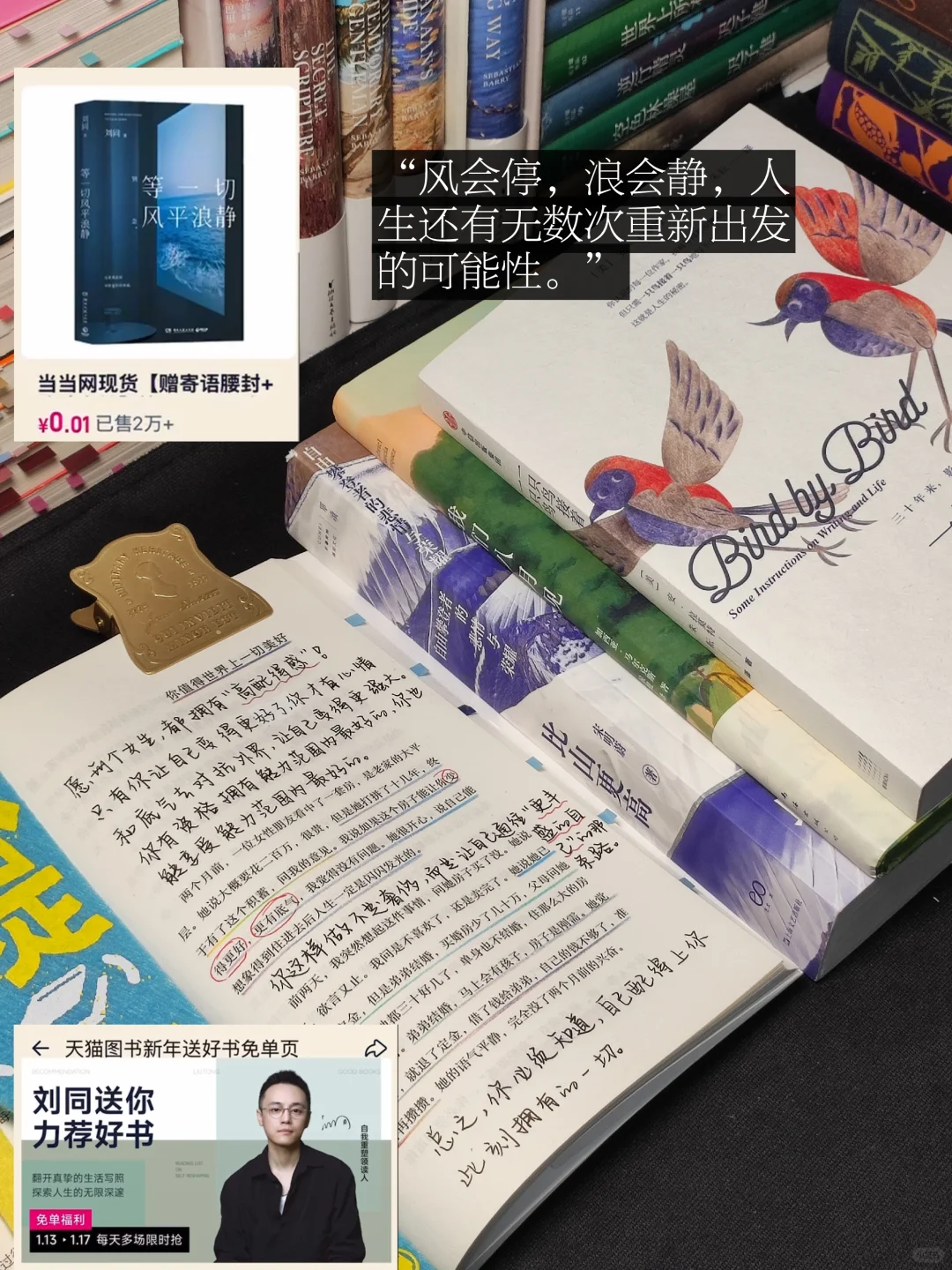 后劲太大😭反内耗一定要码住自我重塑书单