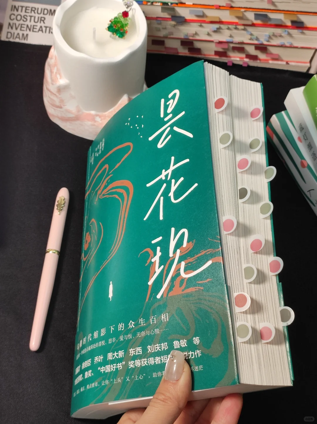 🏆2024年度书单（2）——文学类书单
