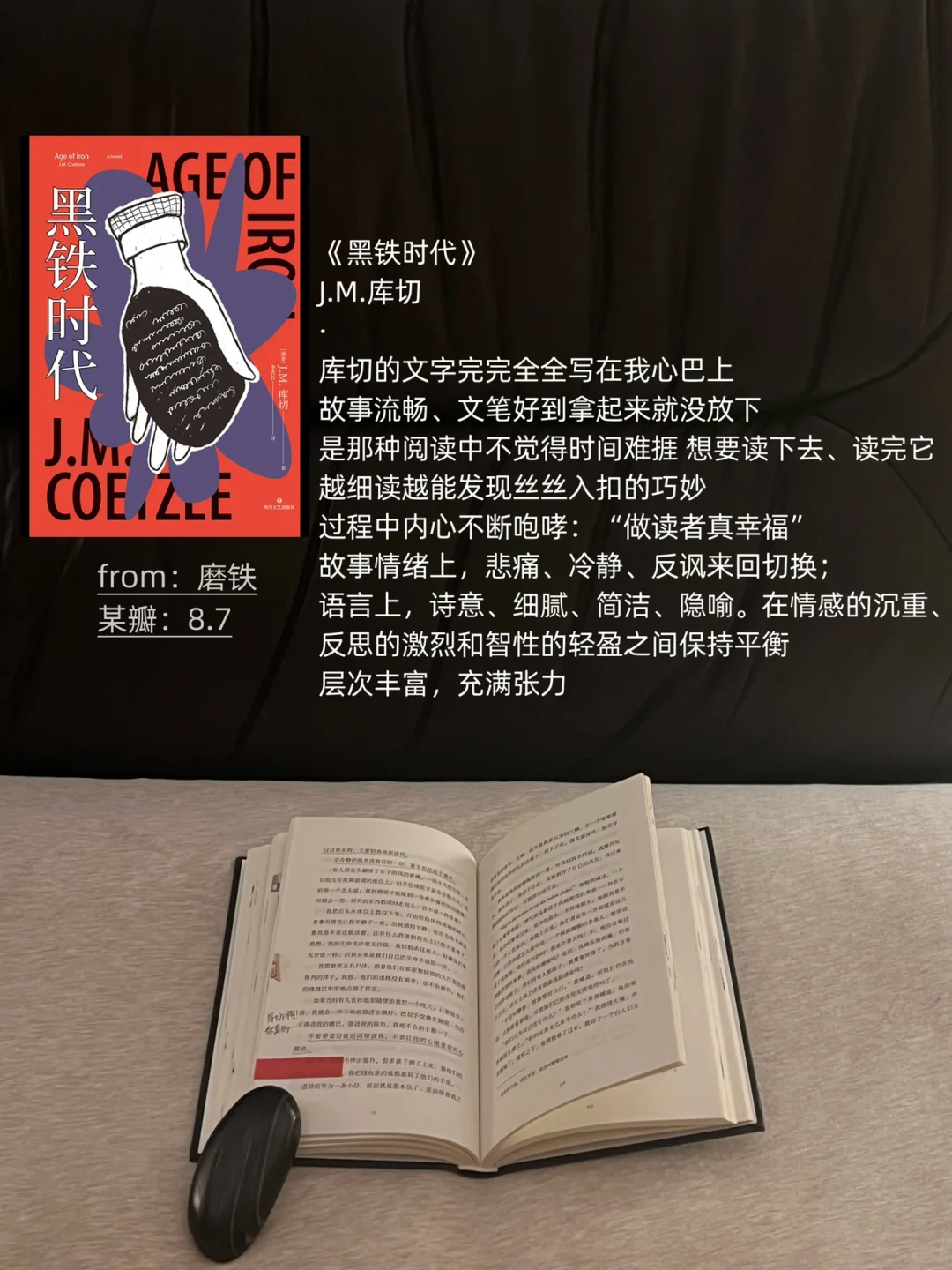 我的2024年度书单（们