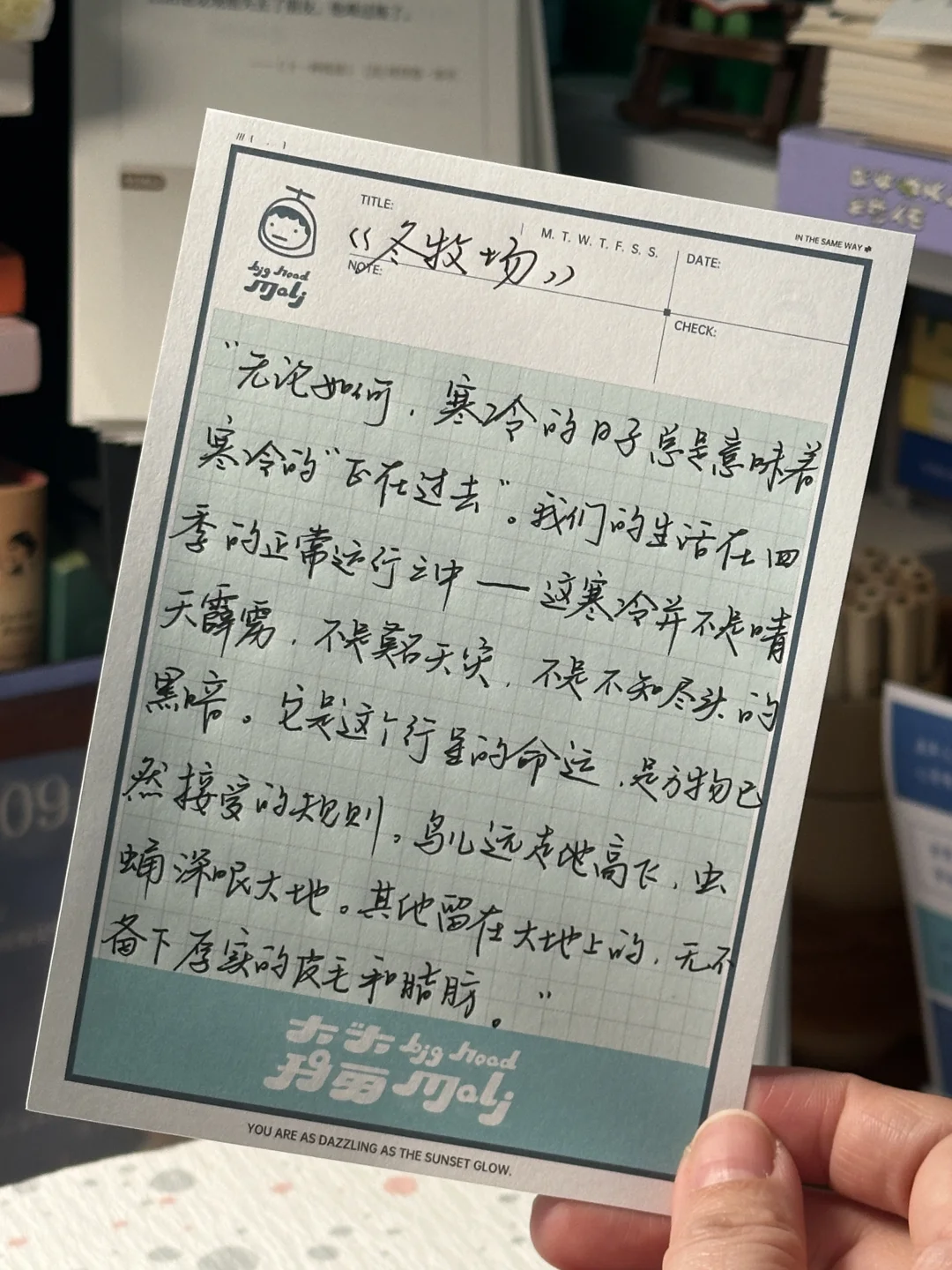 攒了很久的冬日氛围感书单！每一本都好爱