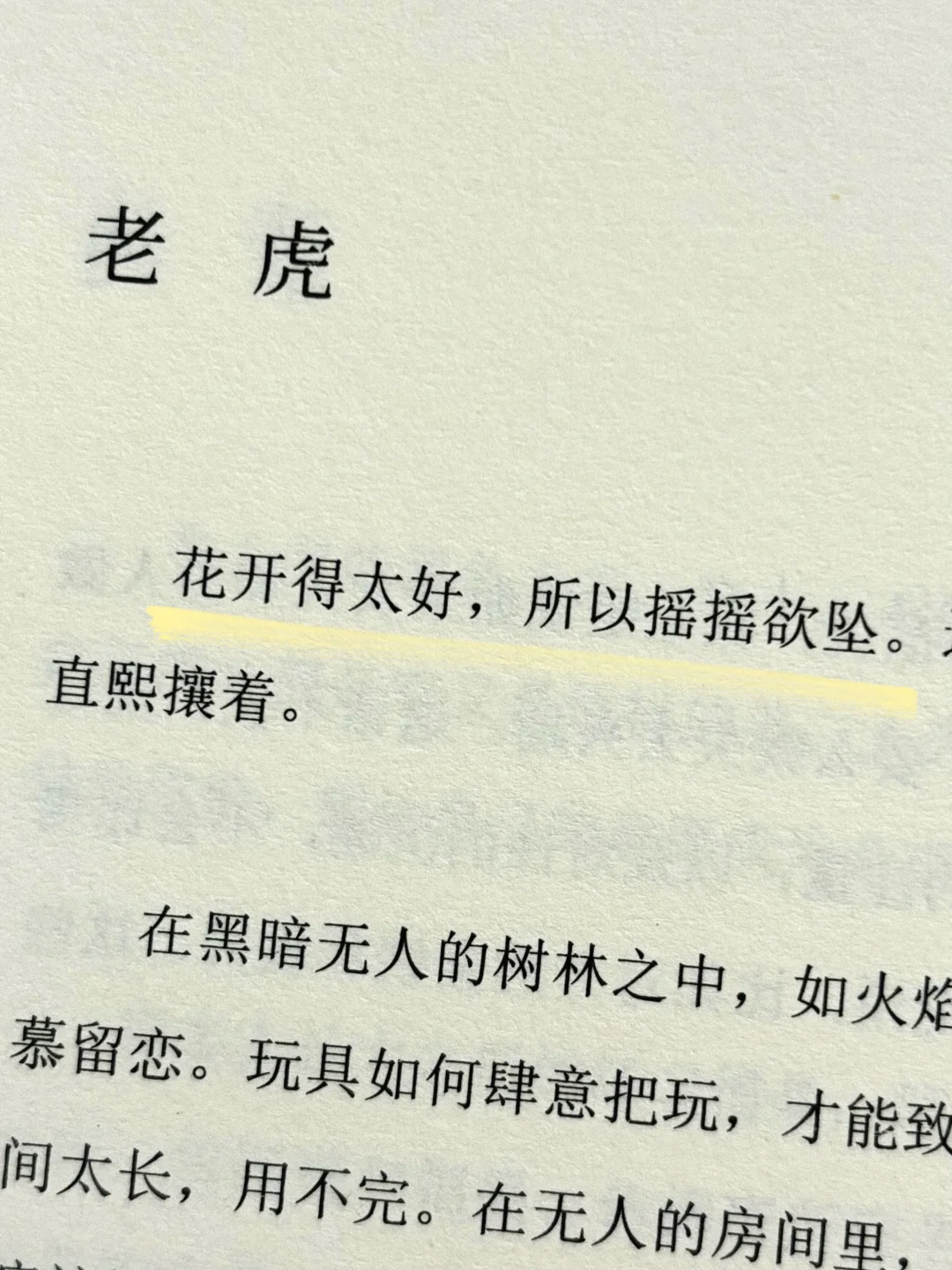 恨不得全文背诵，她的文字太清醒太深刻了😭